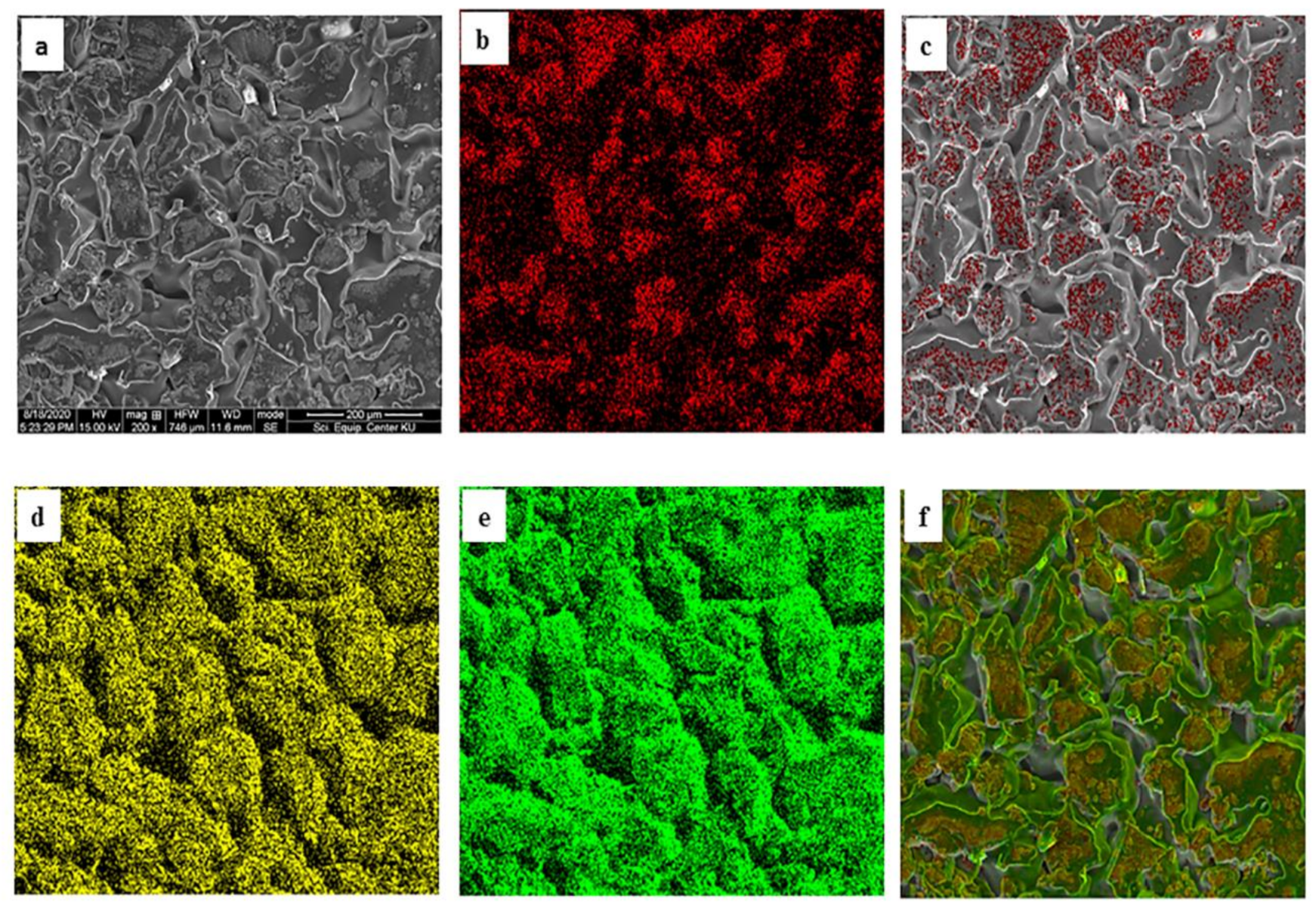 Polymers 13 01778 g003