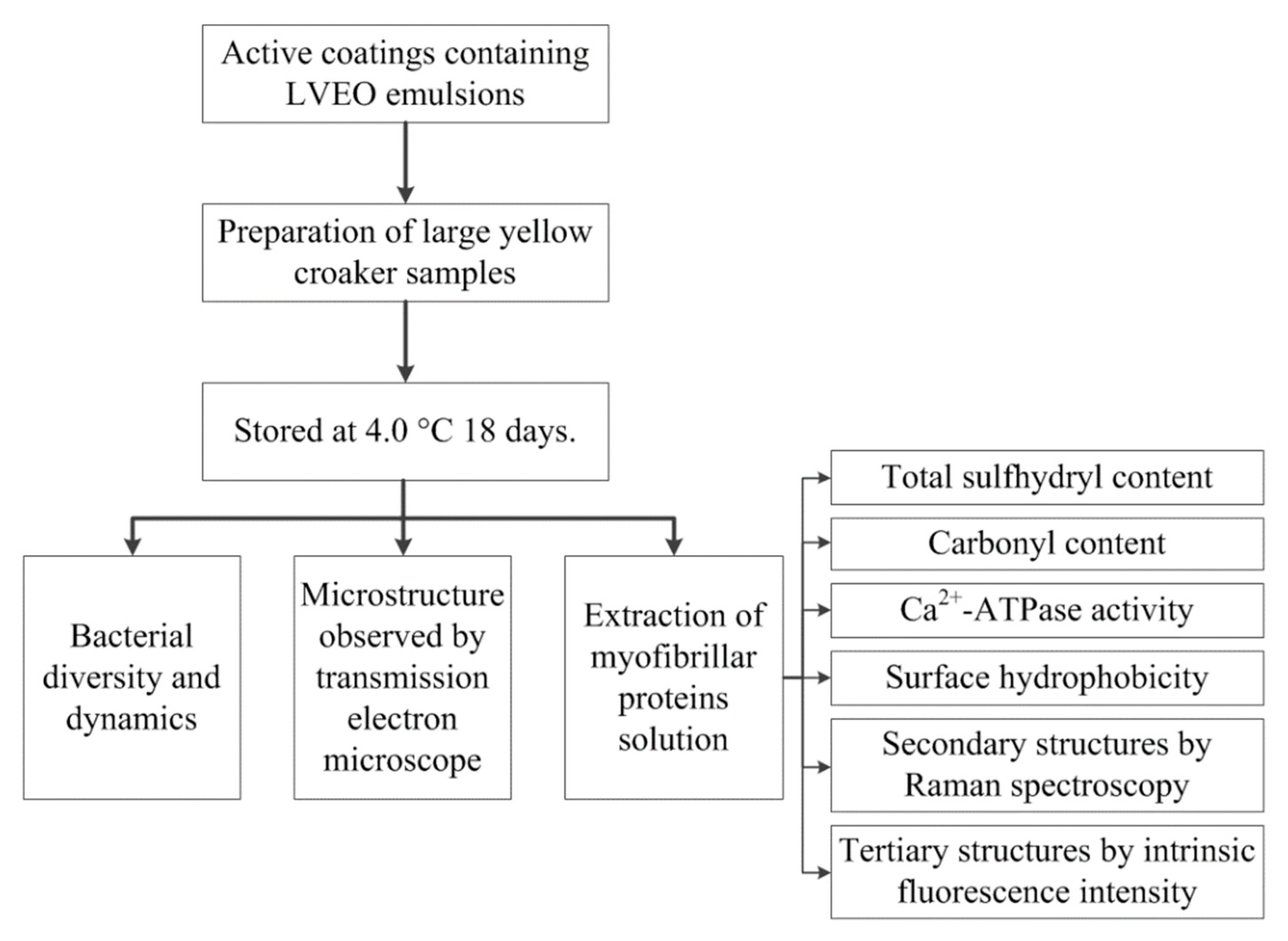 Polymers 13 01787 g001