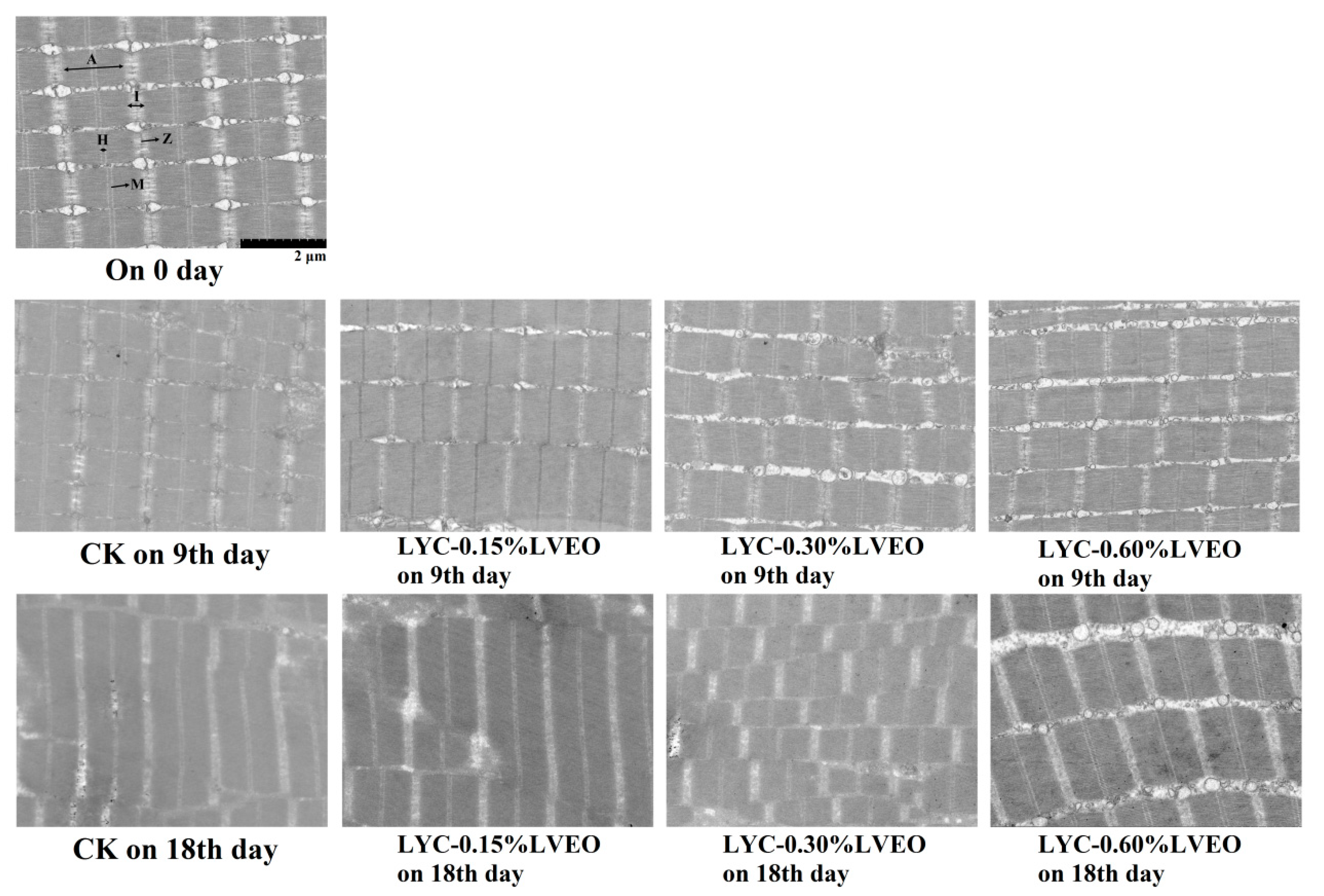 Polymers 13 01787 g007