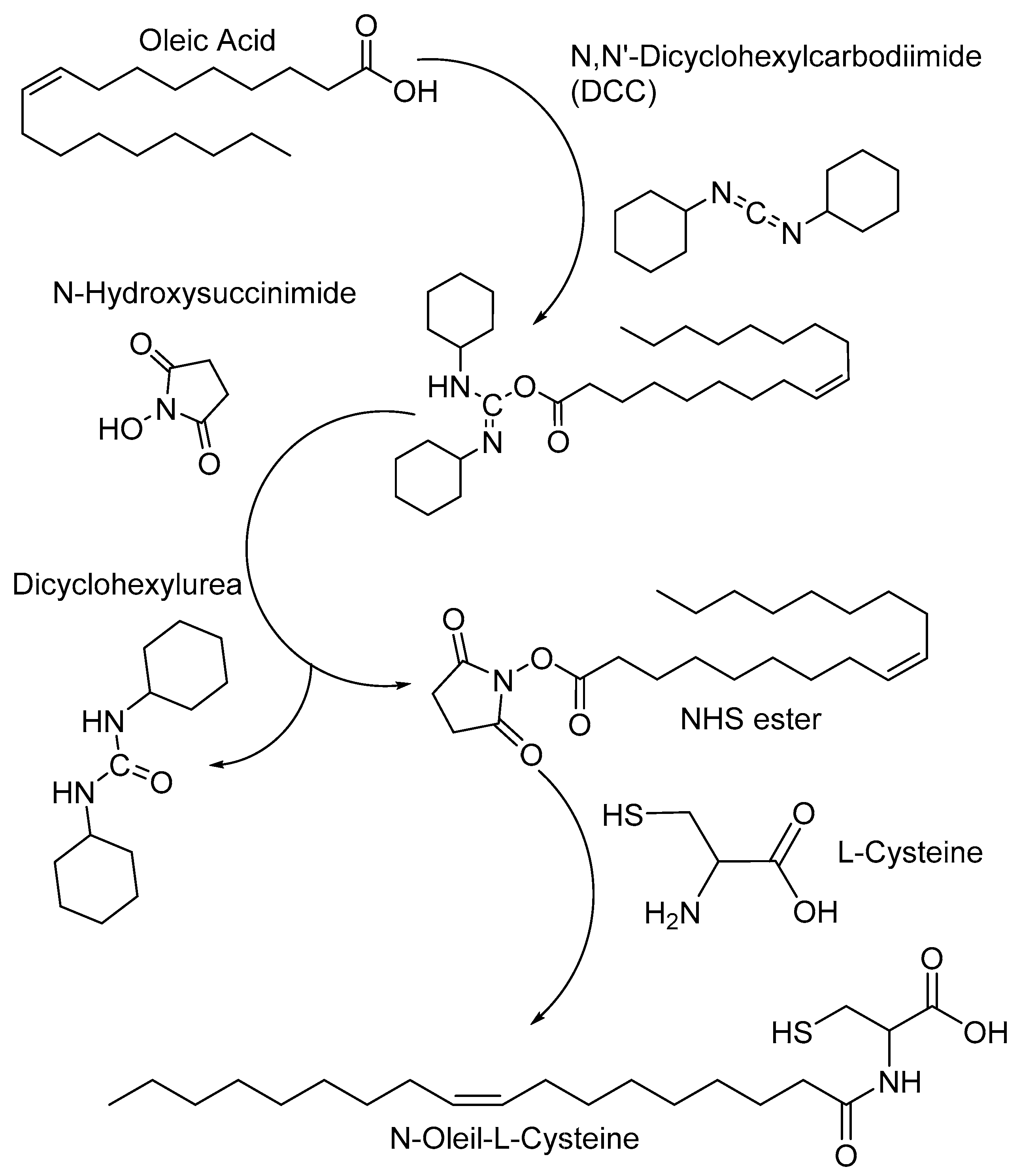 Polymers 13 01791 g001 Polymers 13 01791 g001