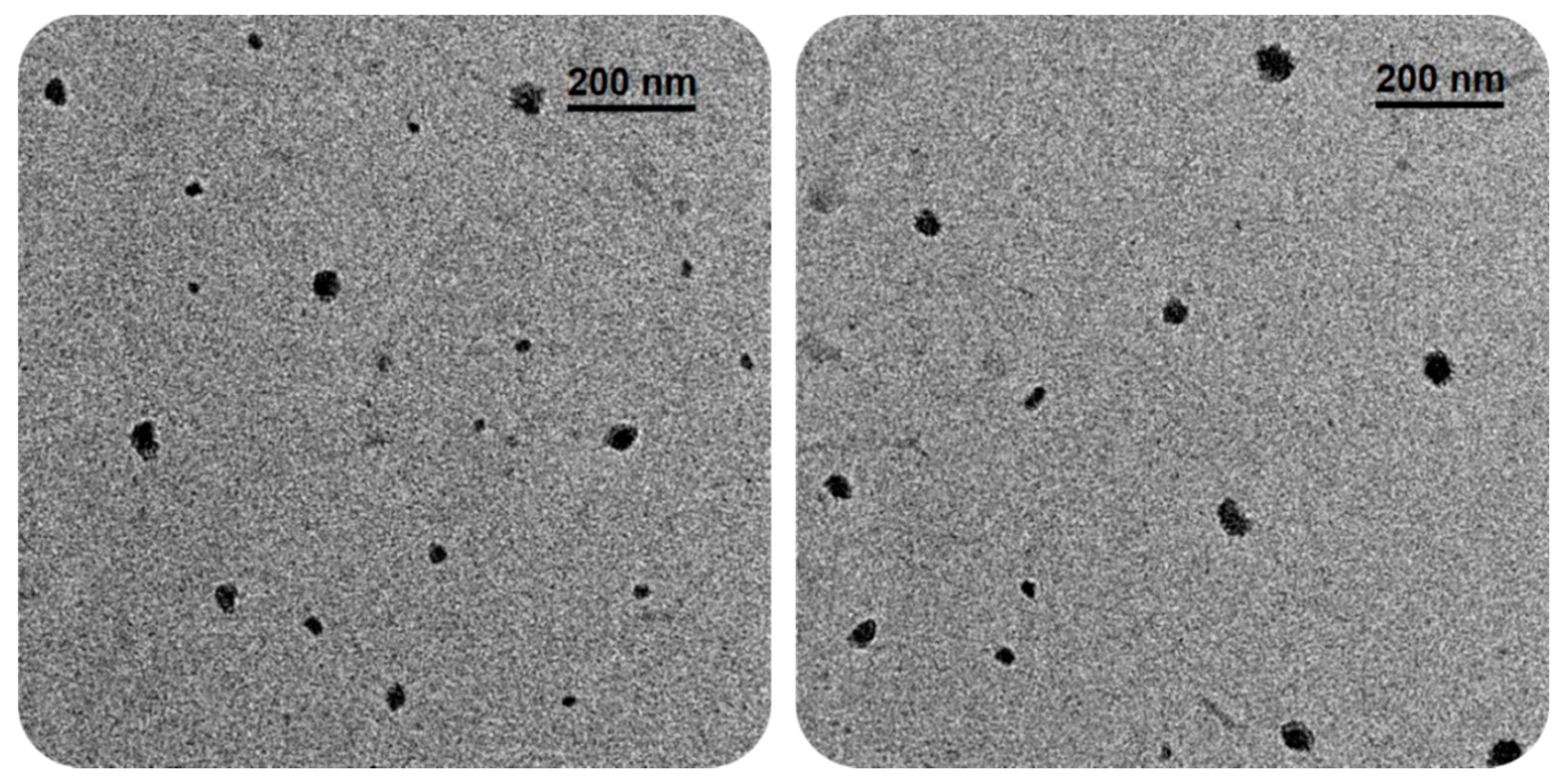 Polymers 13 01791 g010 Polymers 13 01791 g010