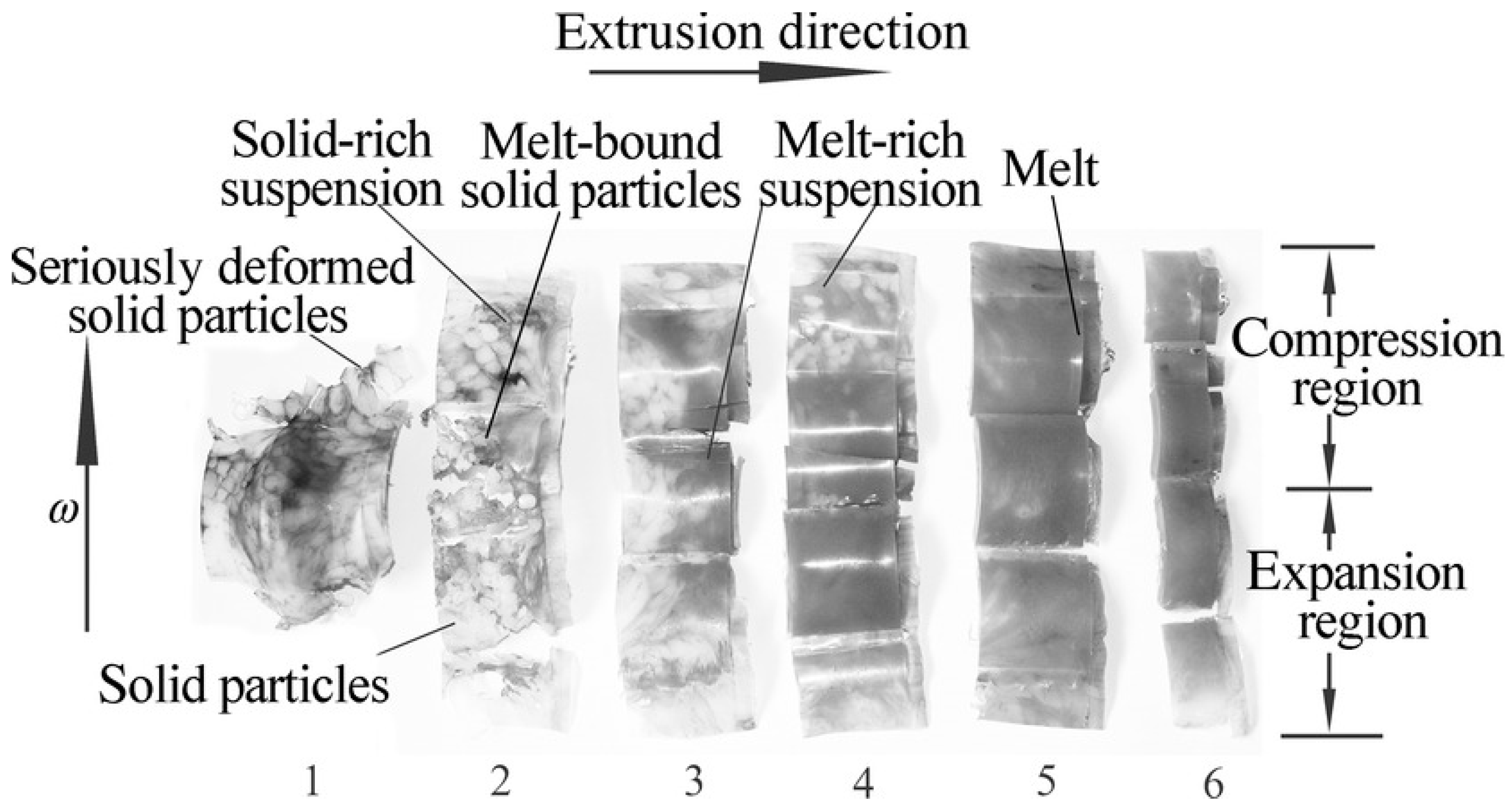Polymers 13 01792 g006 Polymers 13 01792 g006