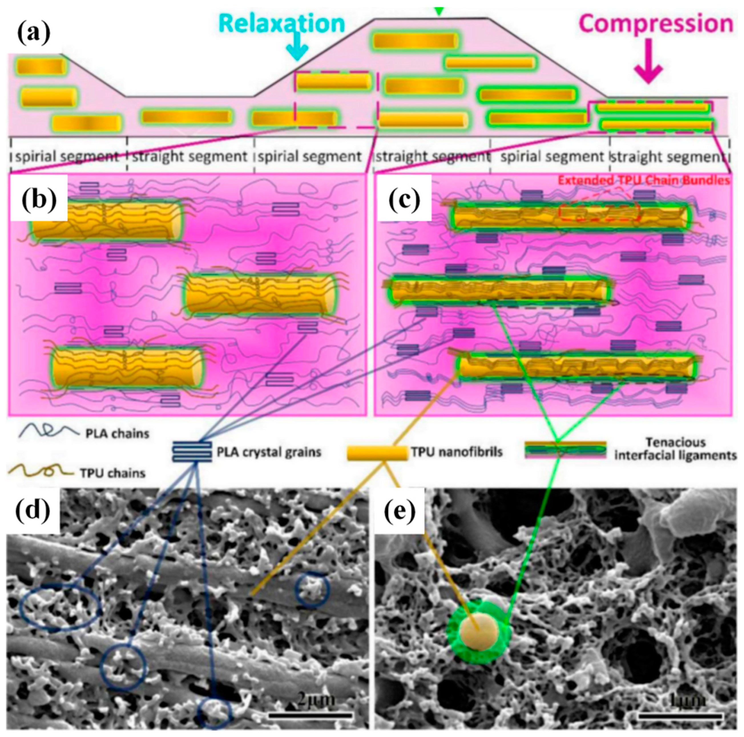 Polymers 13 01792 g007 Polymers 13 01792 g007