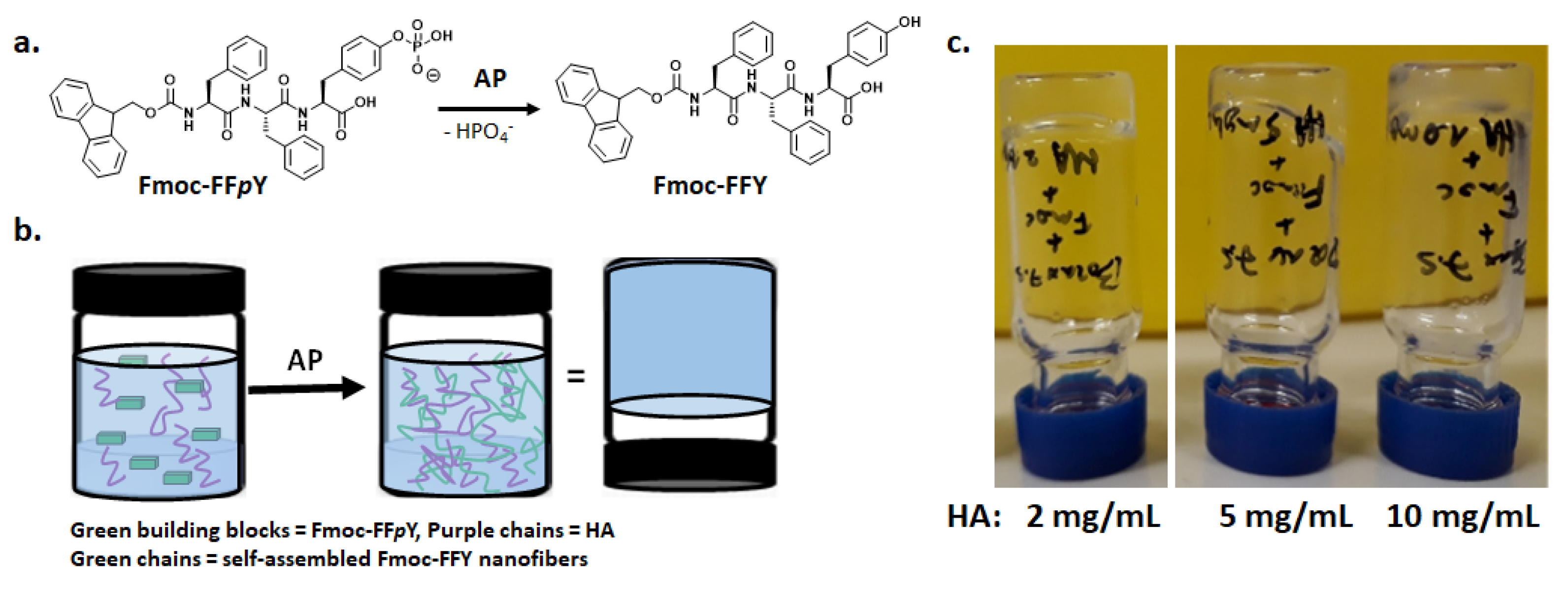 Polymers 13 01793 g001