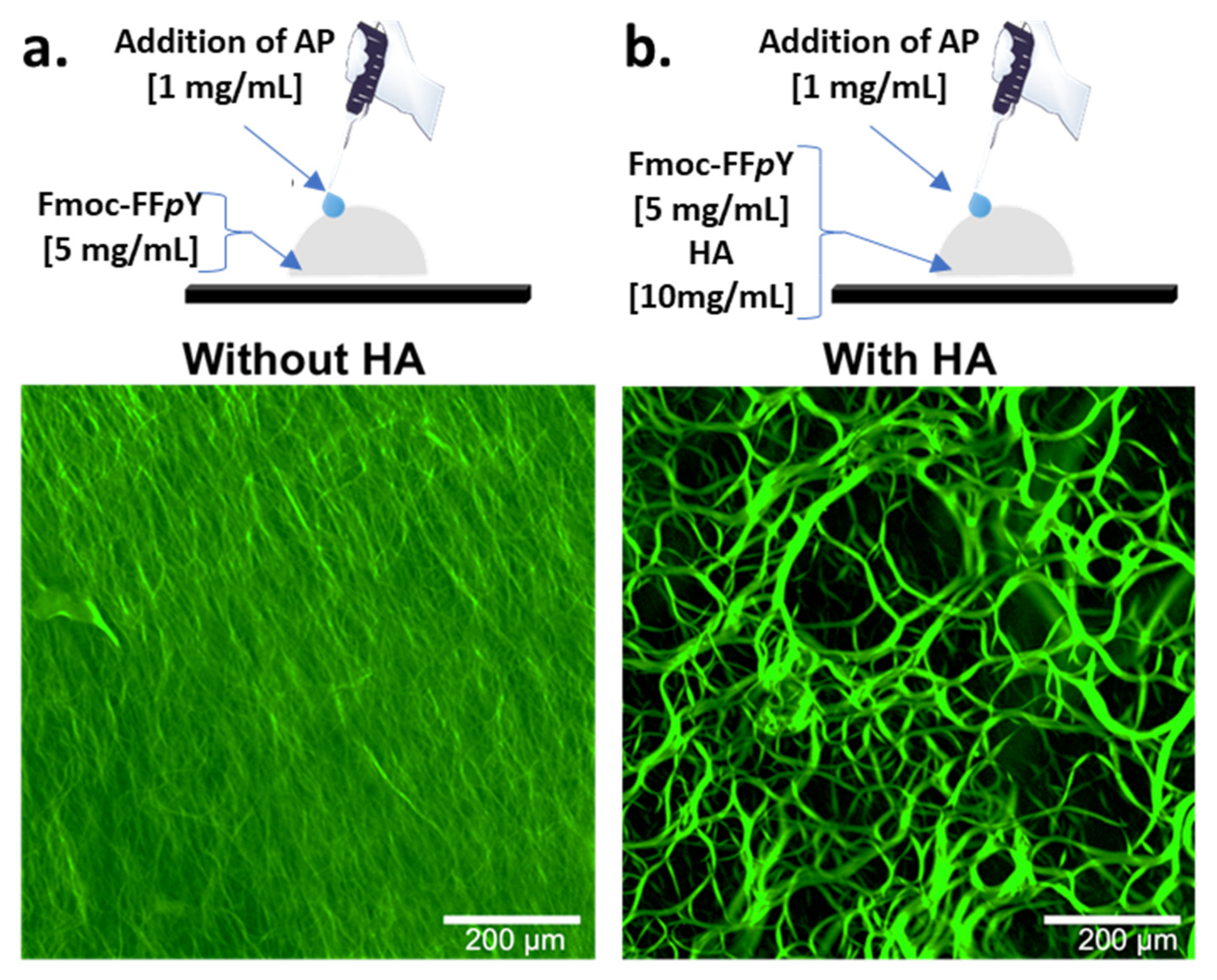 Polymers 13 01793 g002