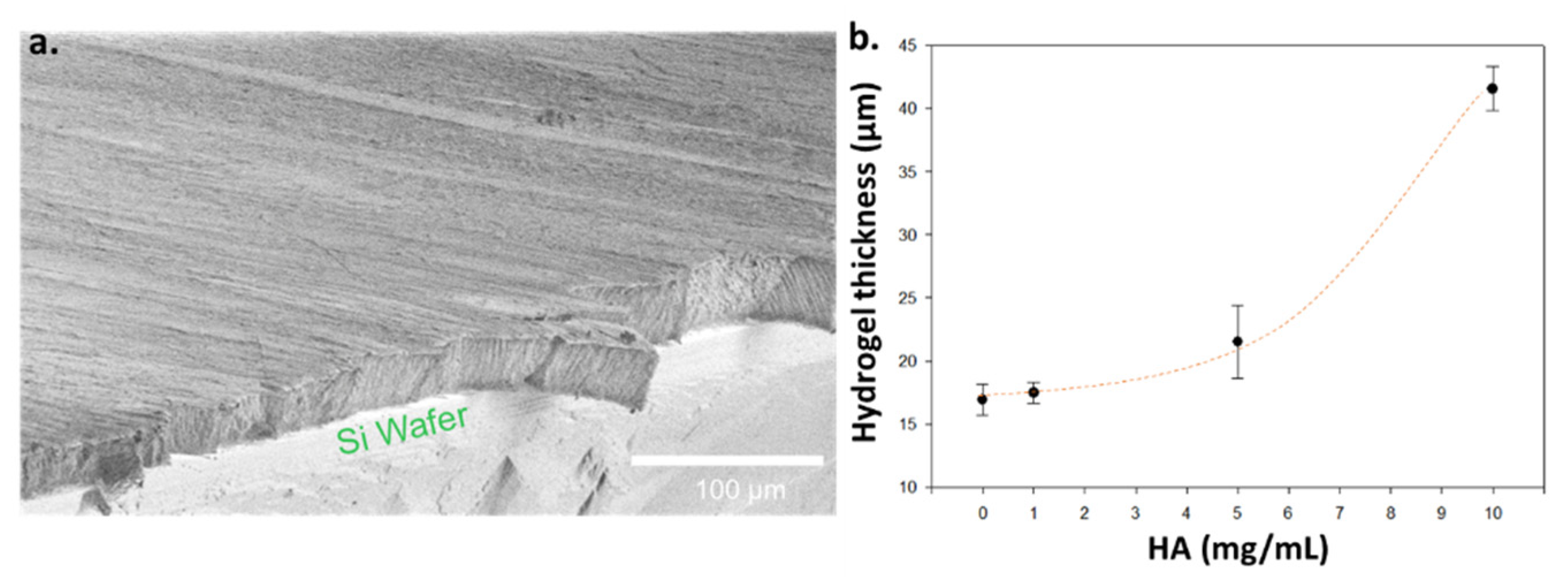 Polymers 13 01793 g004a