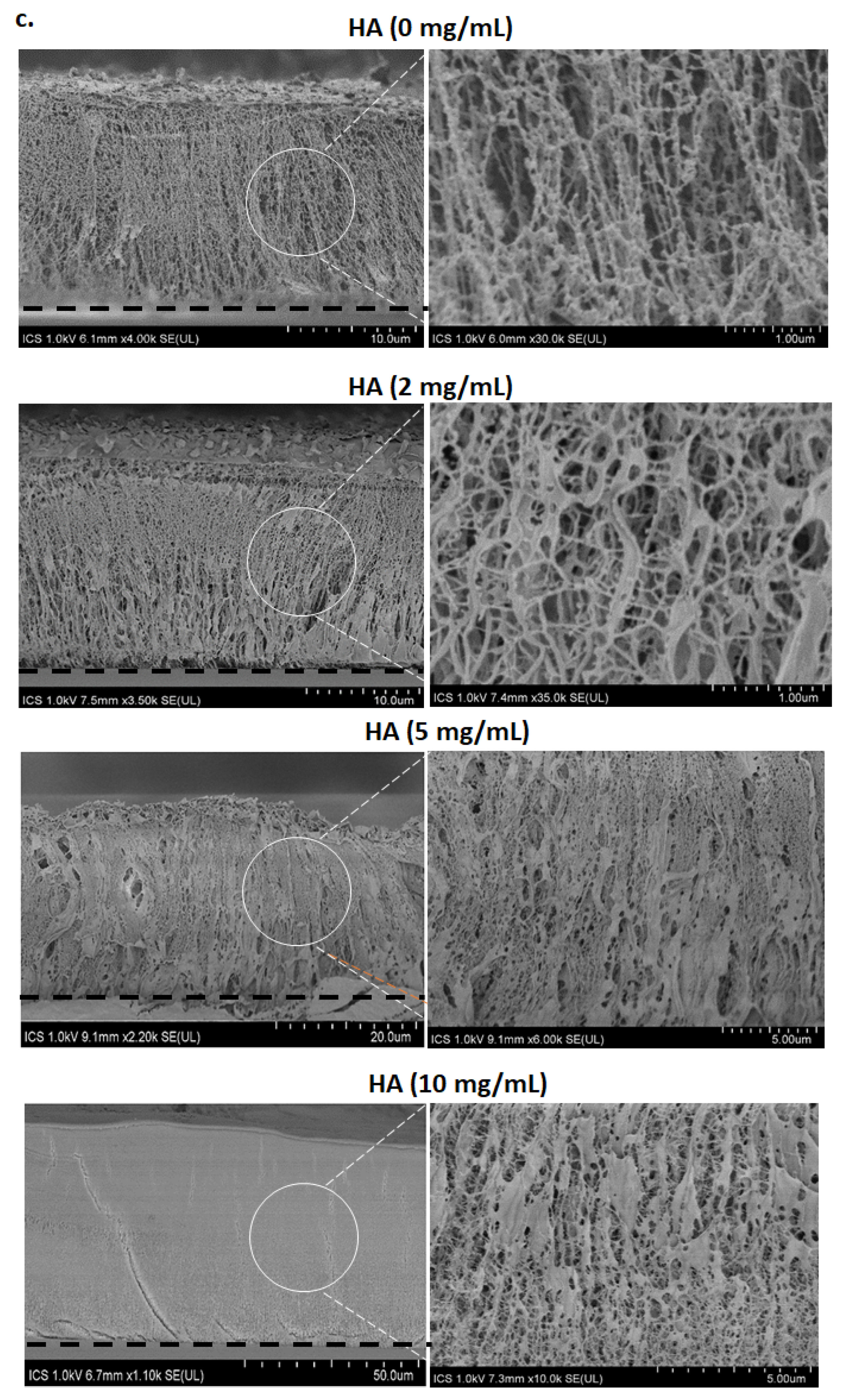 Polymers 13 01793 g004b