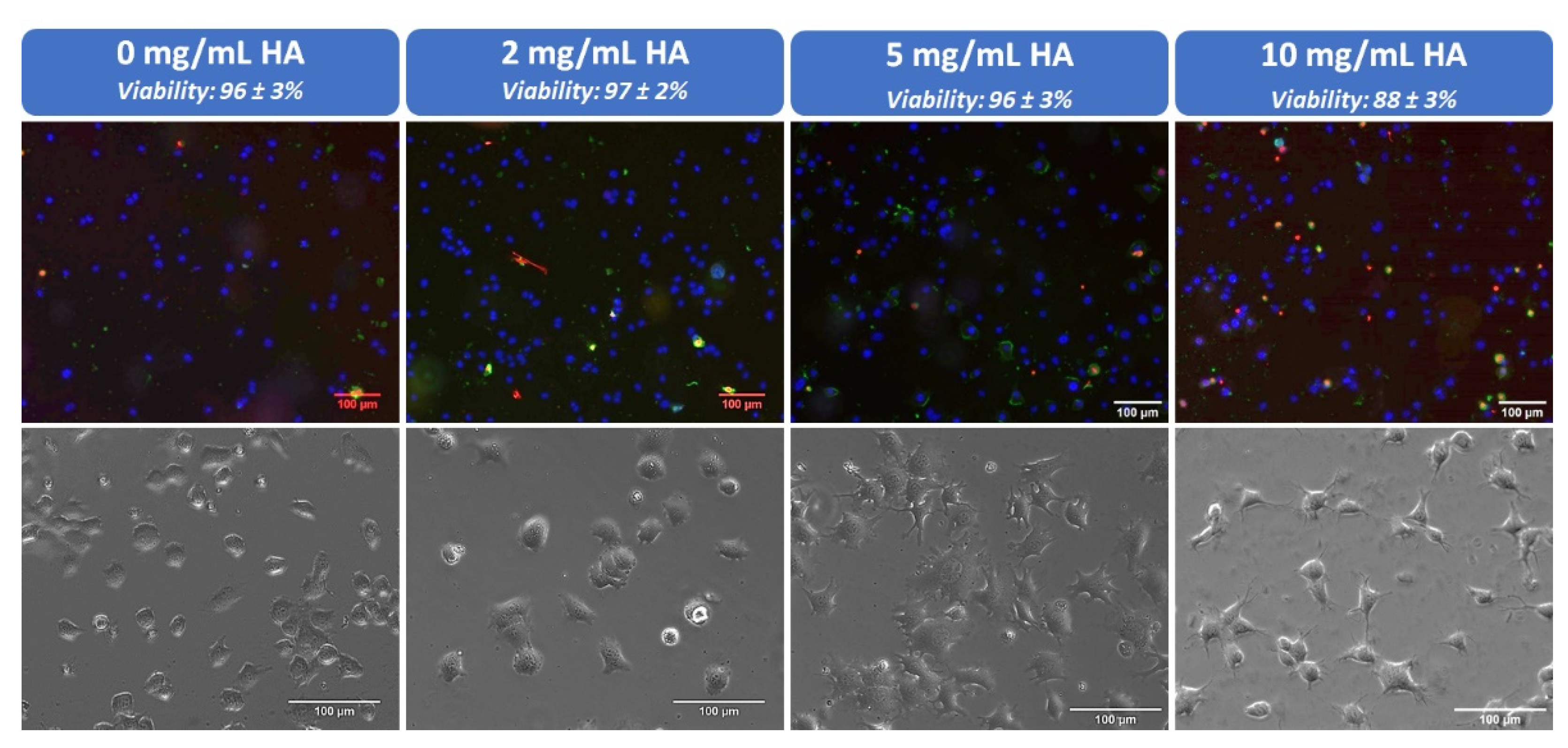 Polymers 13 01793 g006