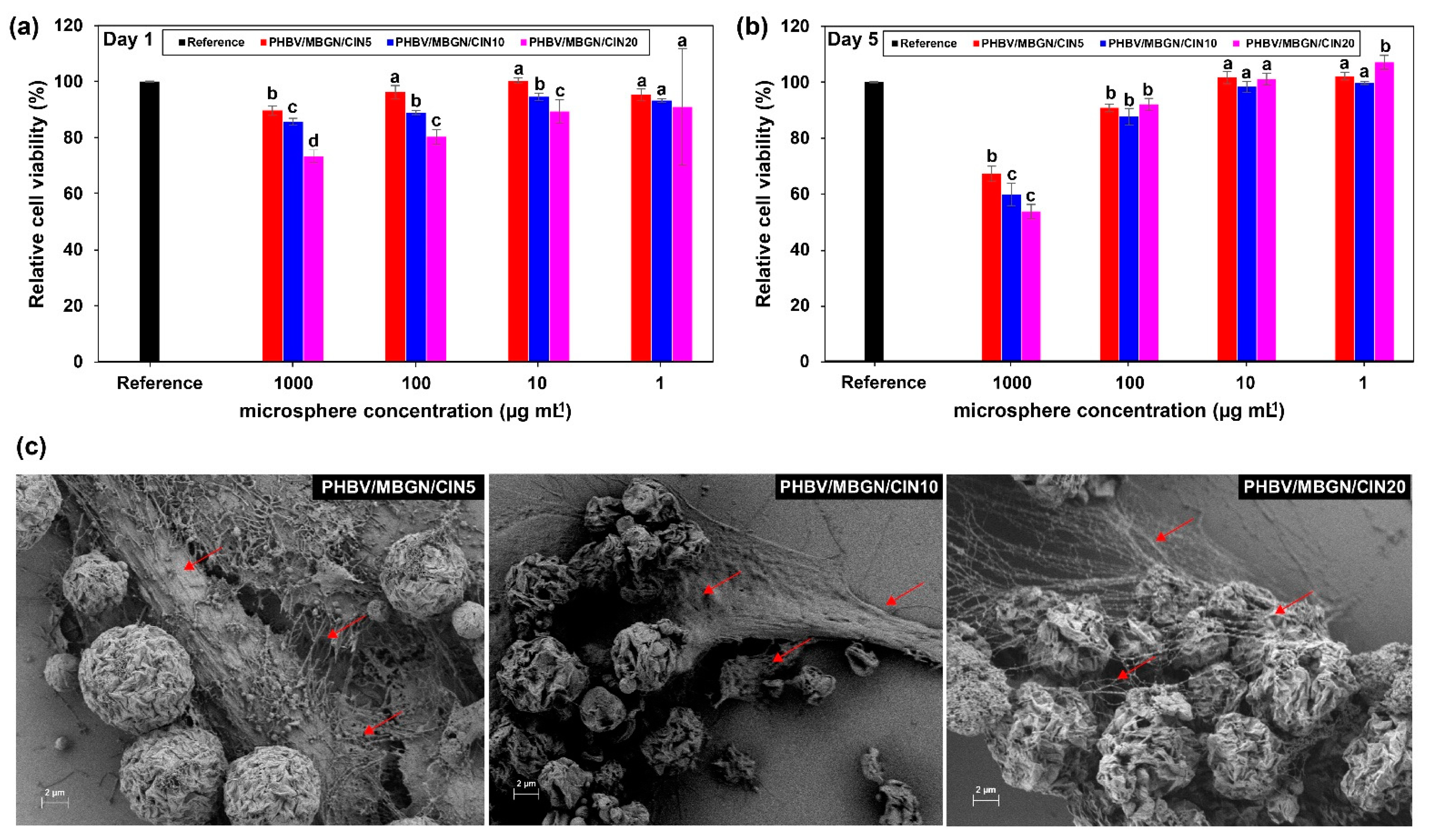 Polymers 13 01794 g005 Polymers 13 01794 g005