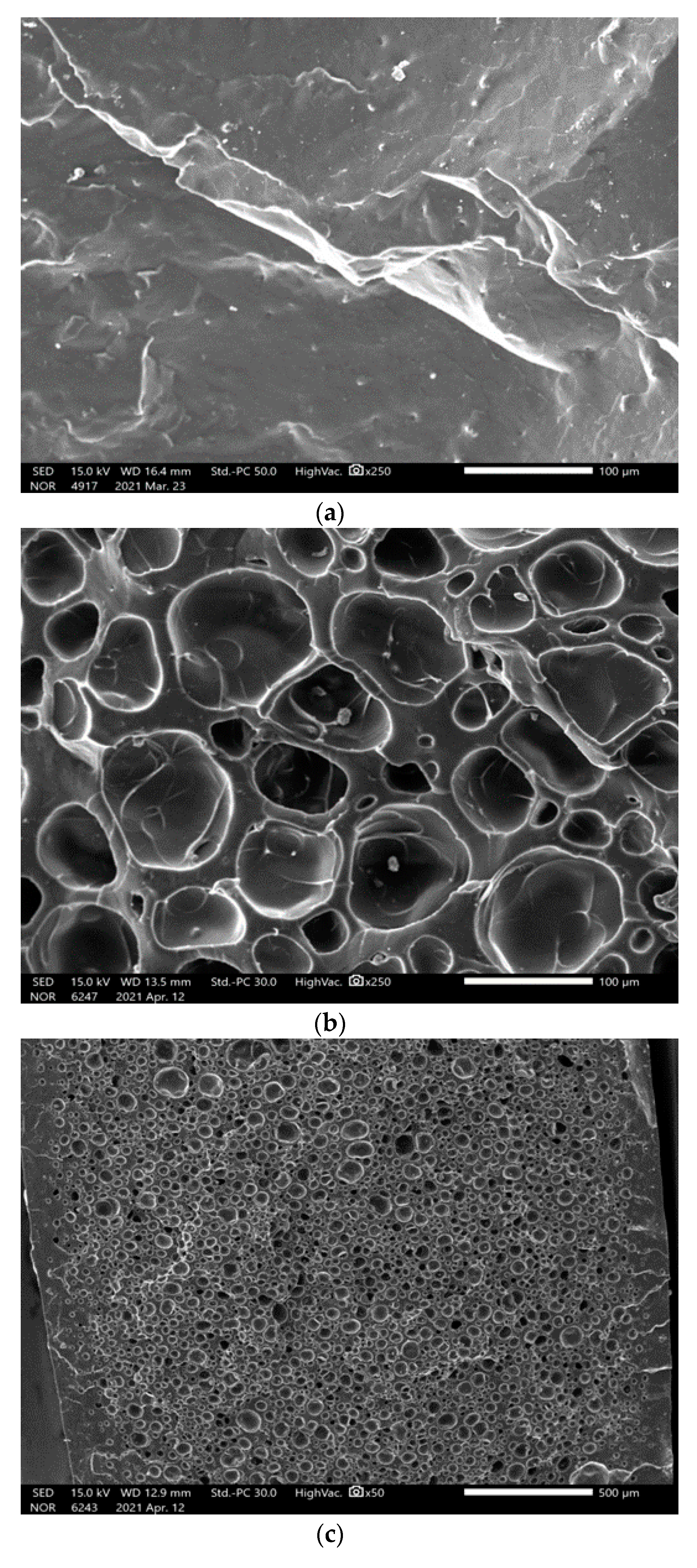 Polymers 13 01817 g005a