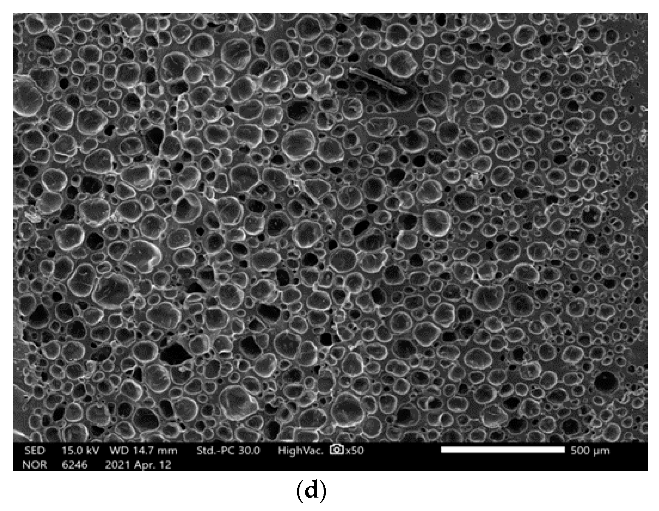Polymers 13 01817 g005b