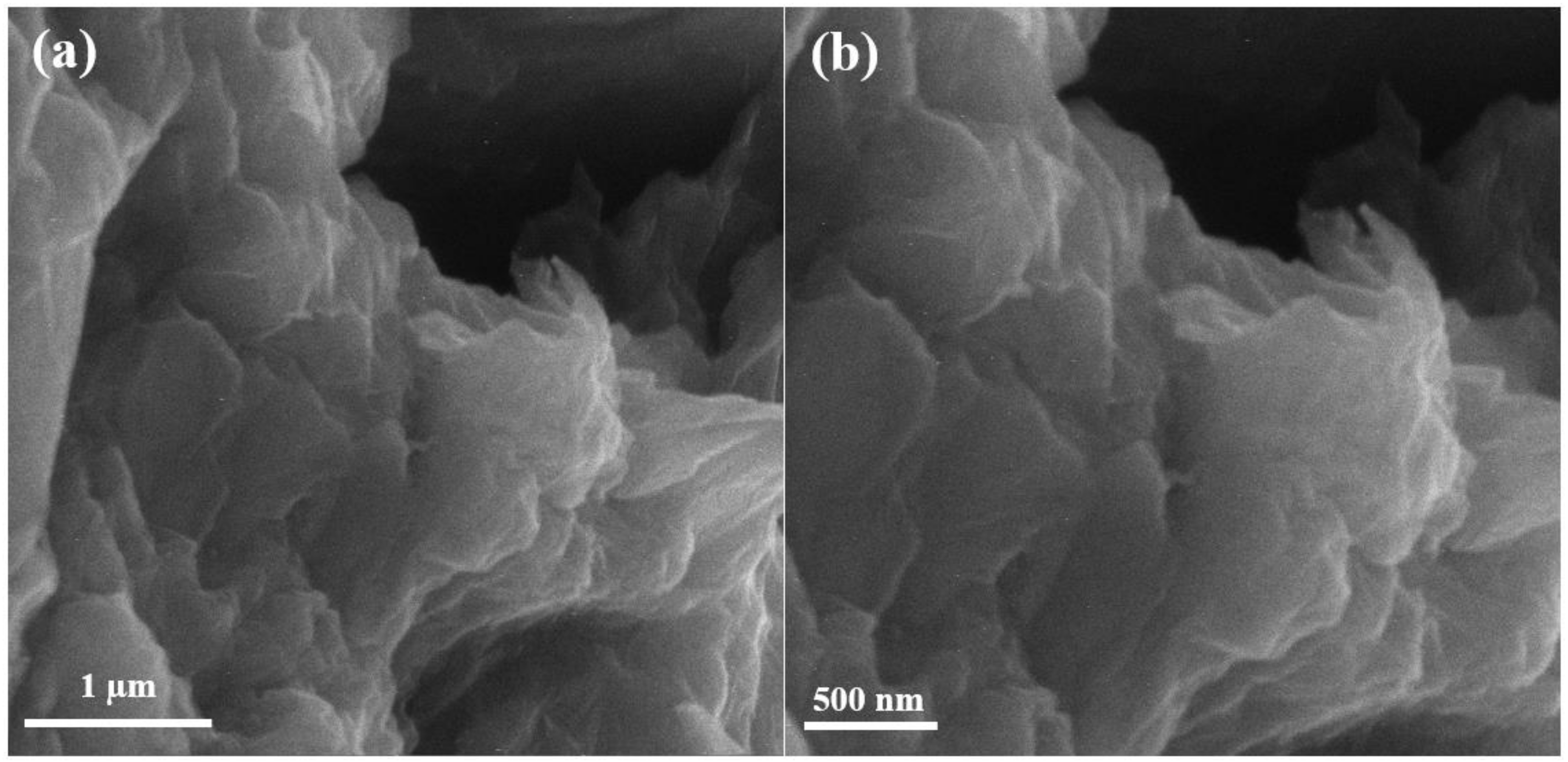 Polymers 13 01818 g002