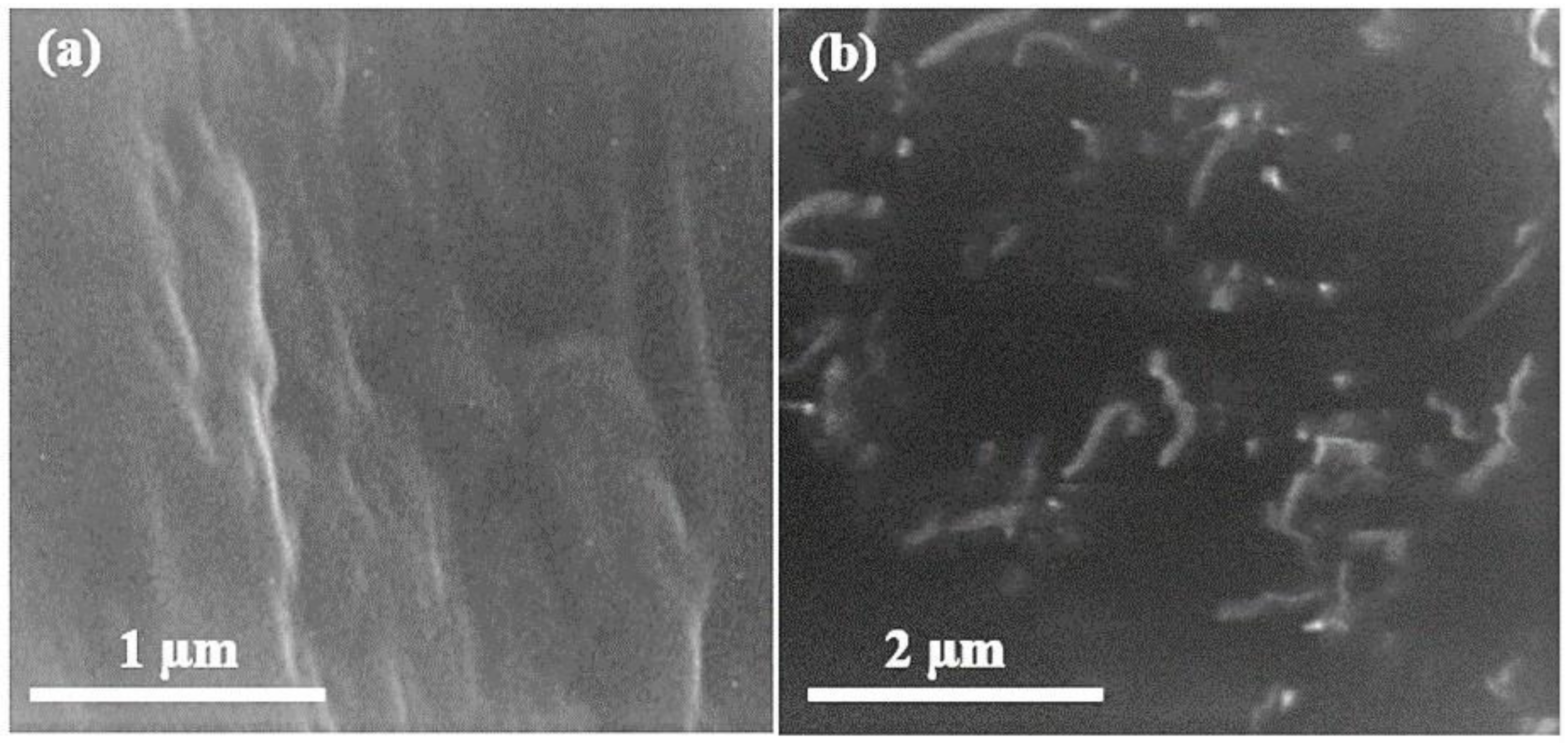 Polymers 13 01818 g006