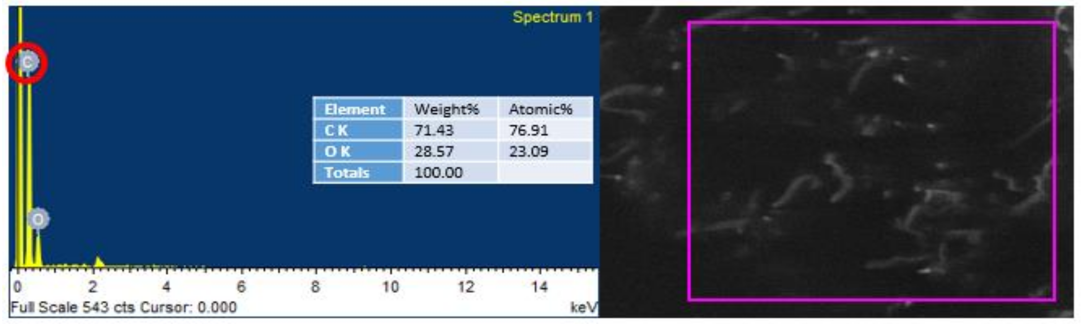 Polymers 13 01818 g008