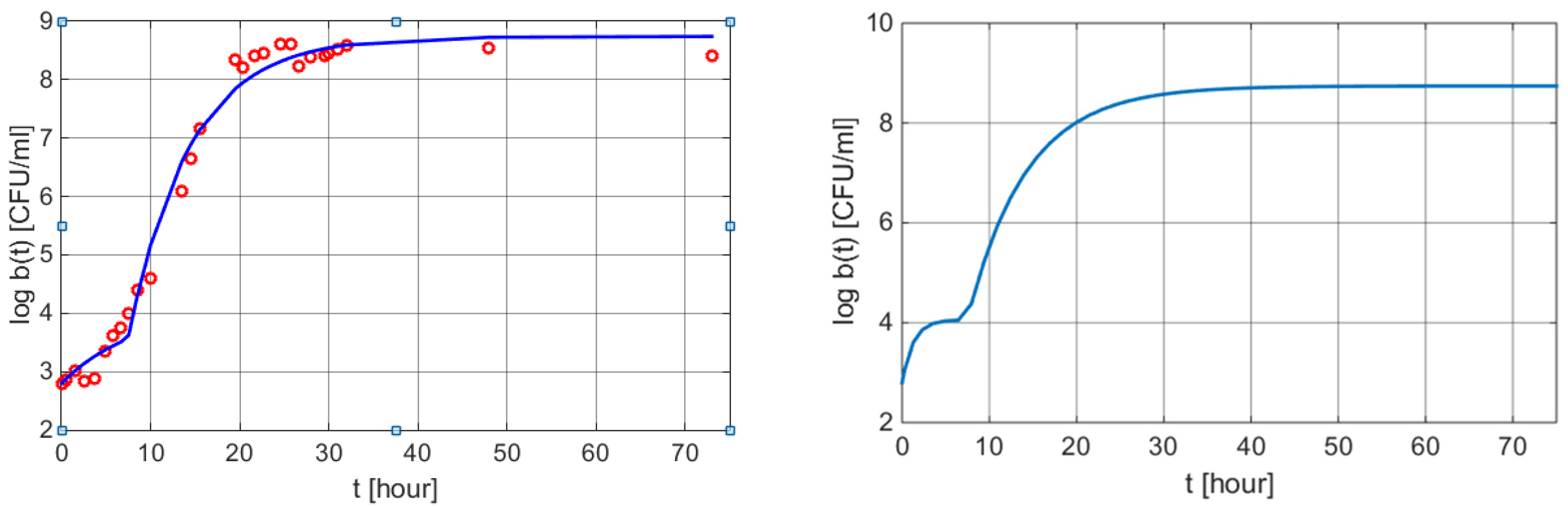 Polymers 13 01819 g006