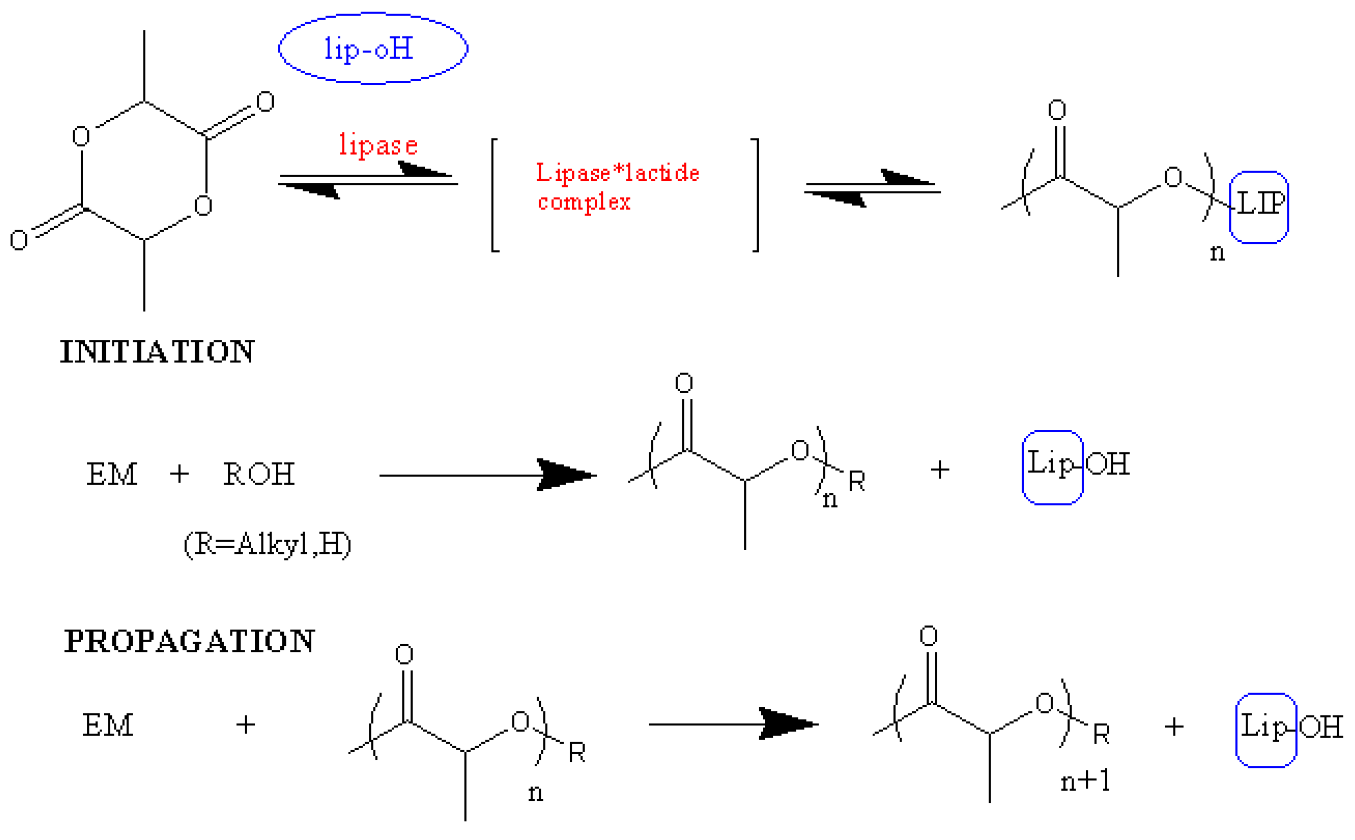 Polymers 13 01822 sch010