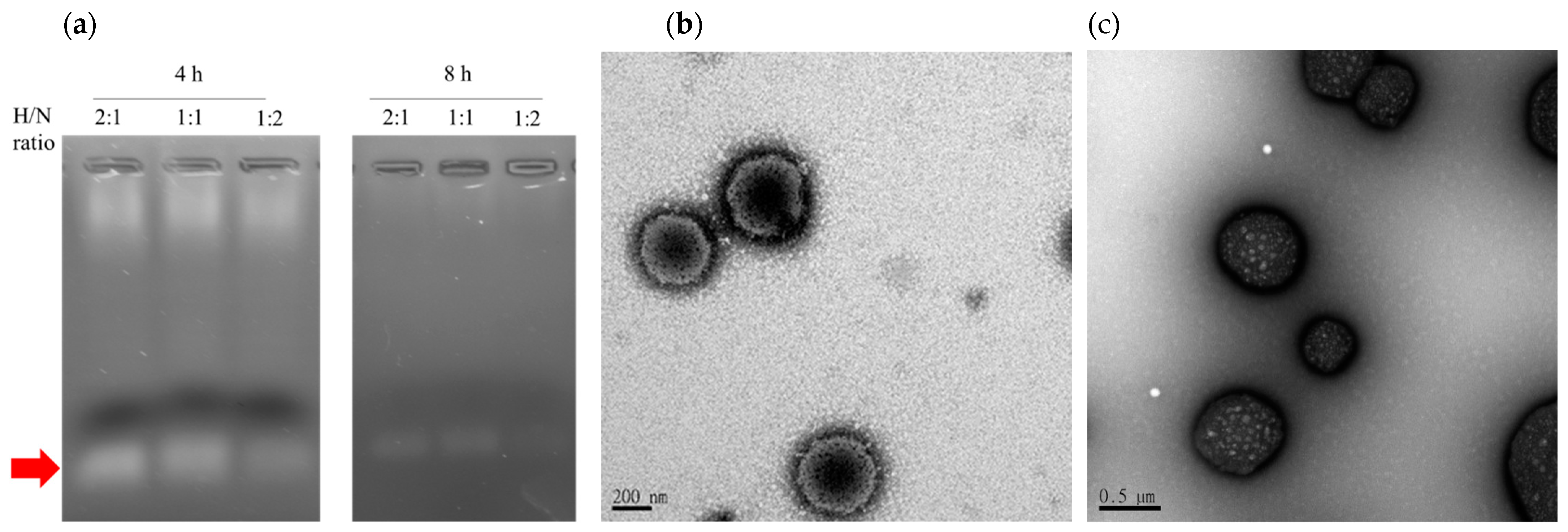 Polymers 13 01823 g003