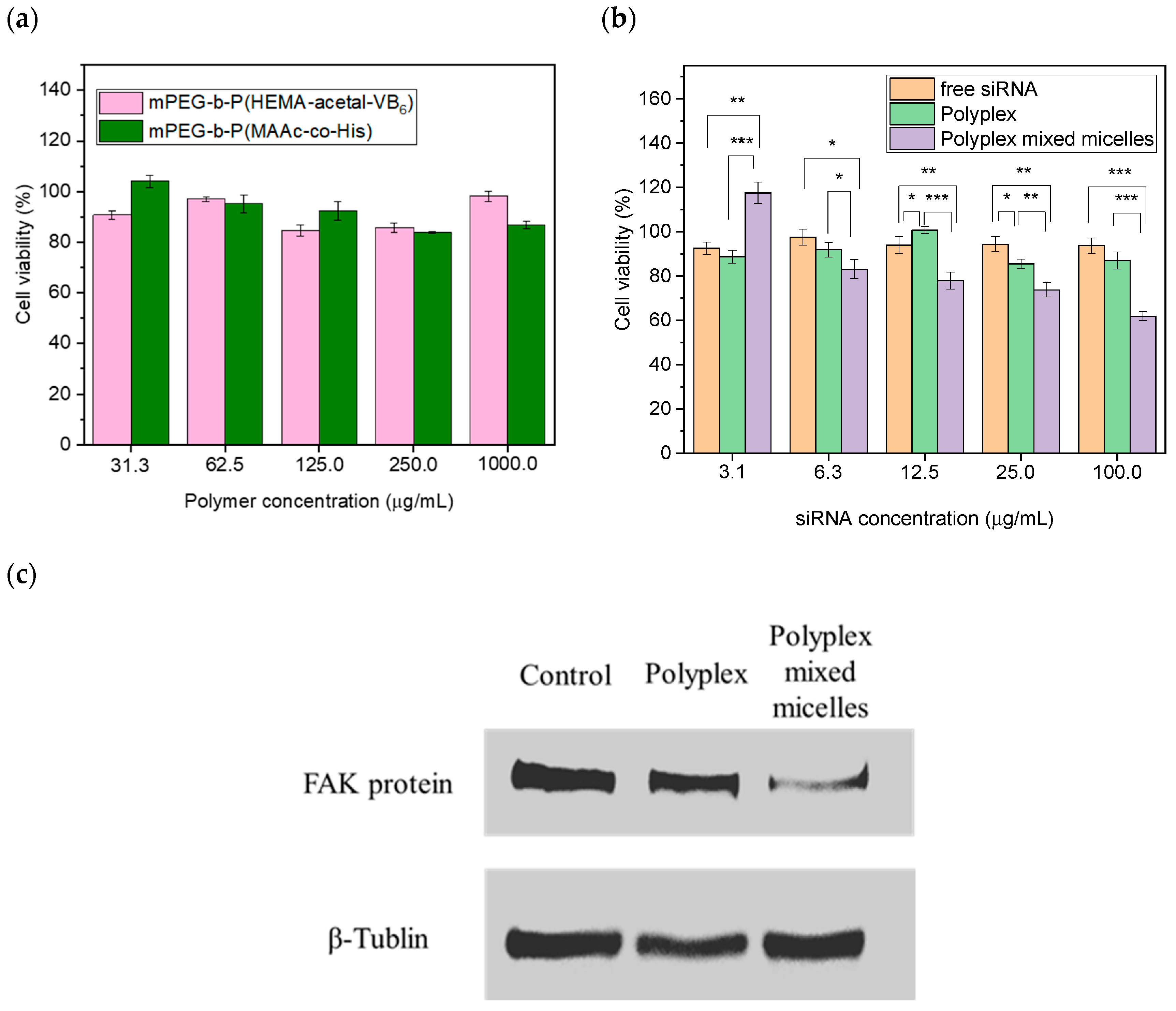 Polymers 13 01823 g005