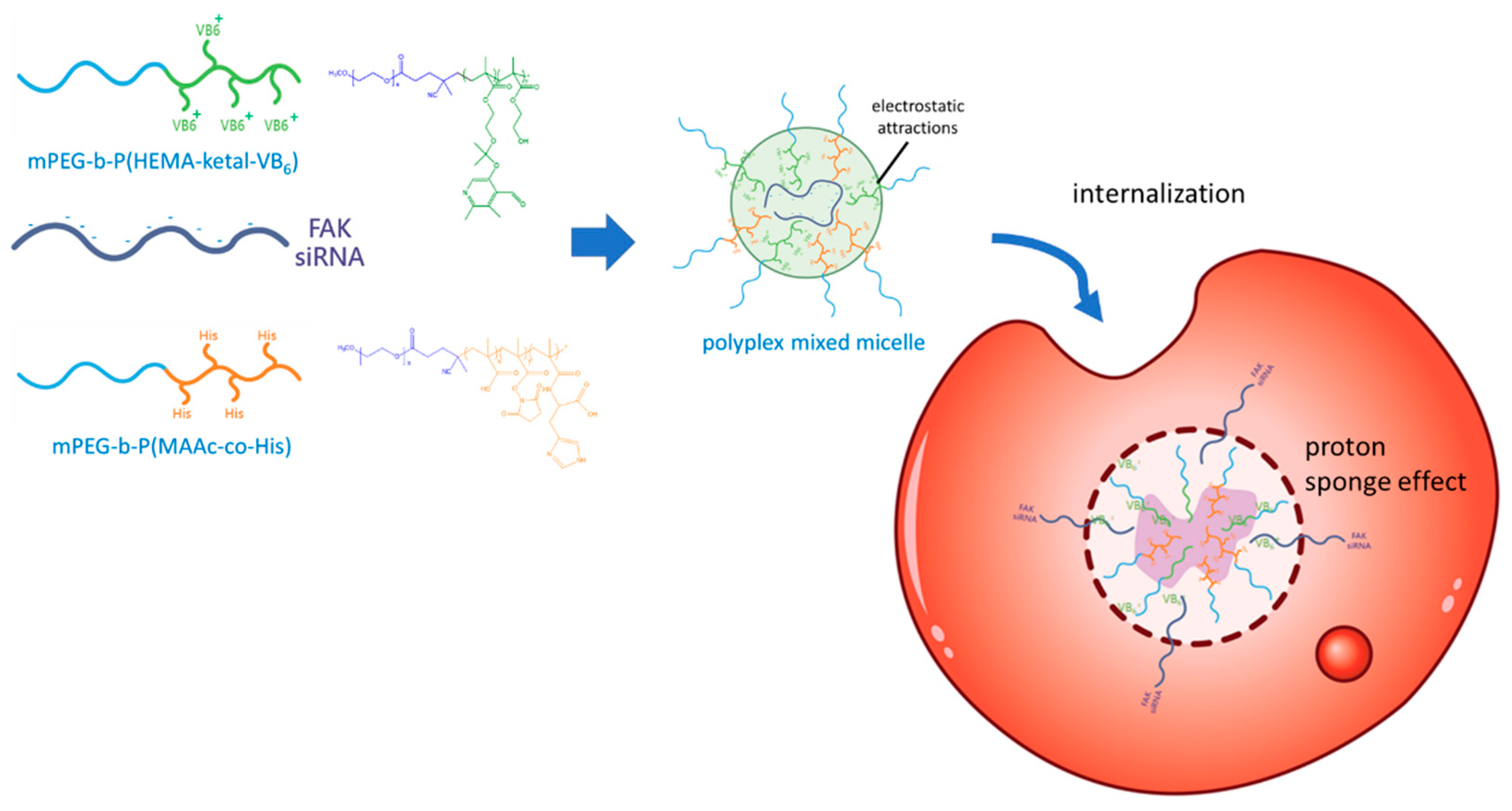 Polymers 13 01823 sch001