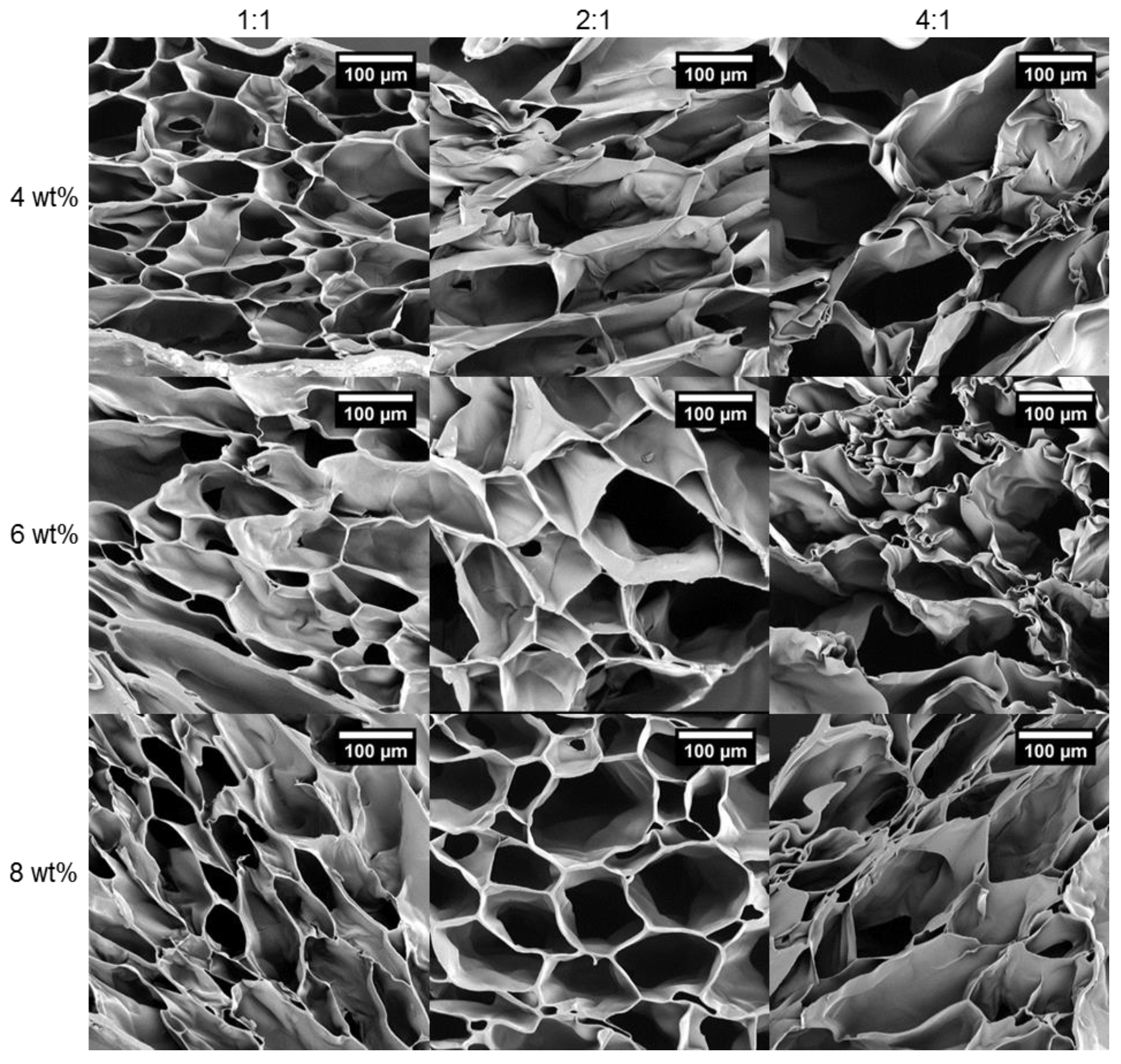 Polymers 13 01828 g007 Polymers 13 01828 g007