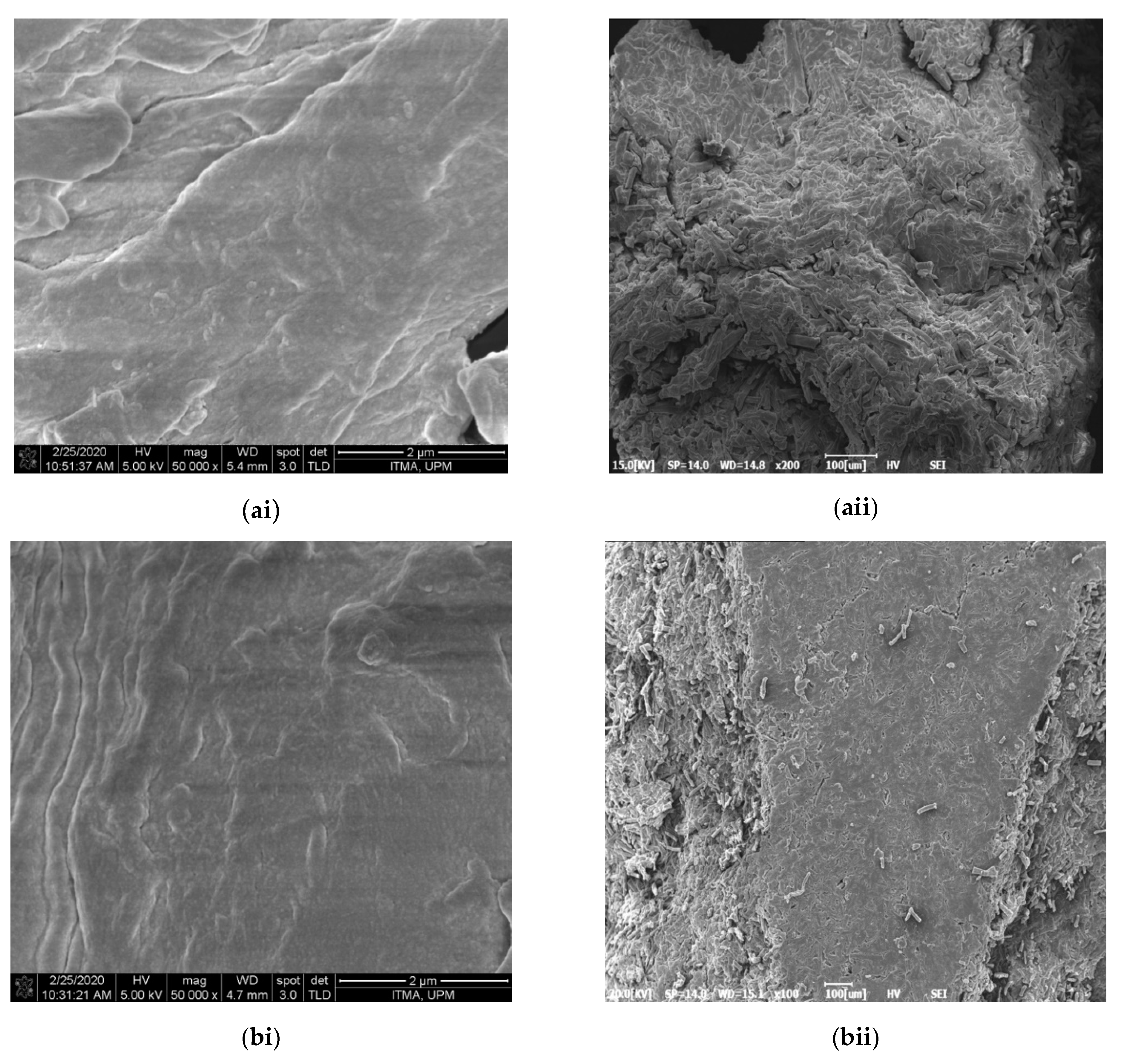 Polymers 13 01835 g001a