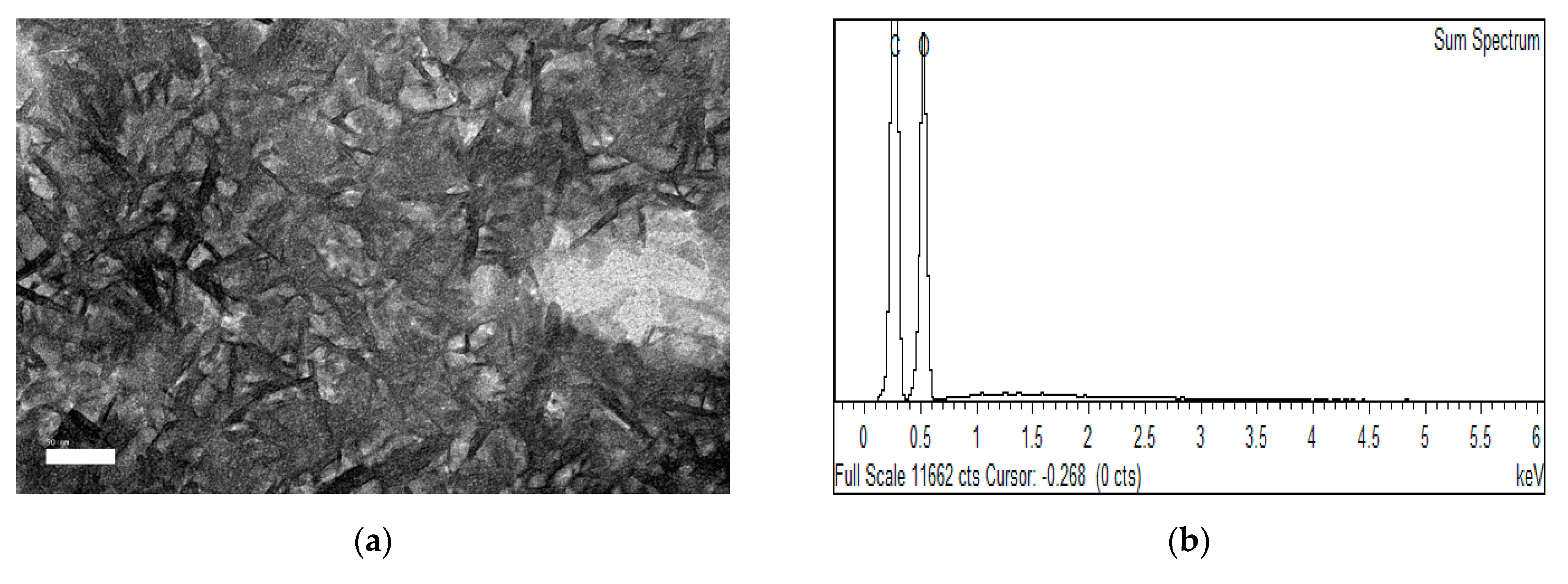 Polymers 13 01835 g002a