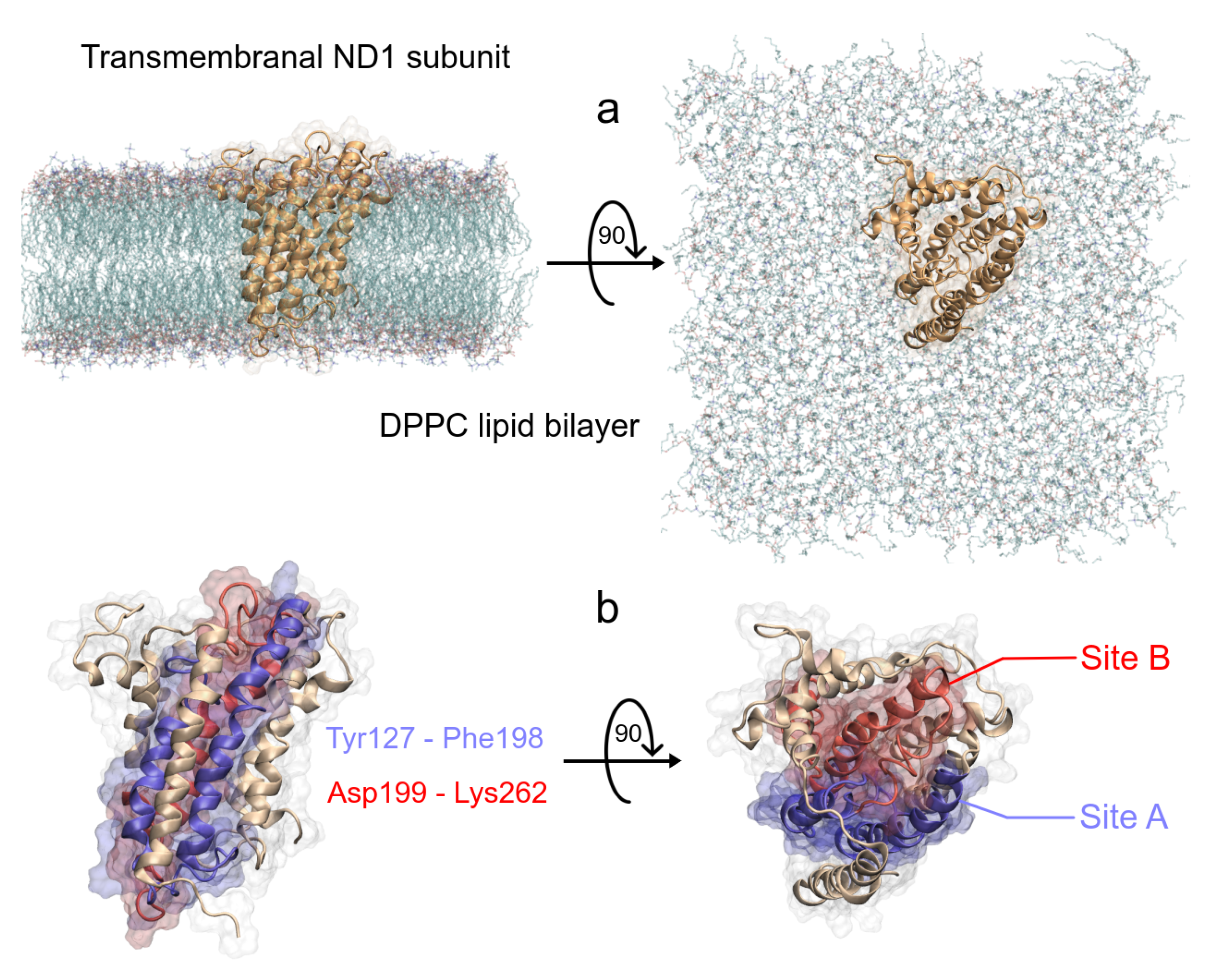 Polymers 13 01840 g003 Polymers 13 01840 g003