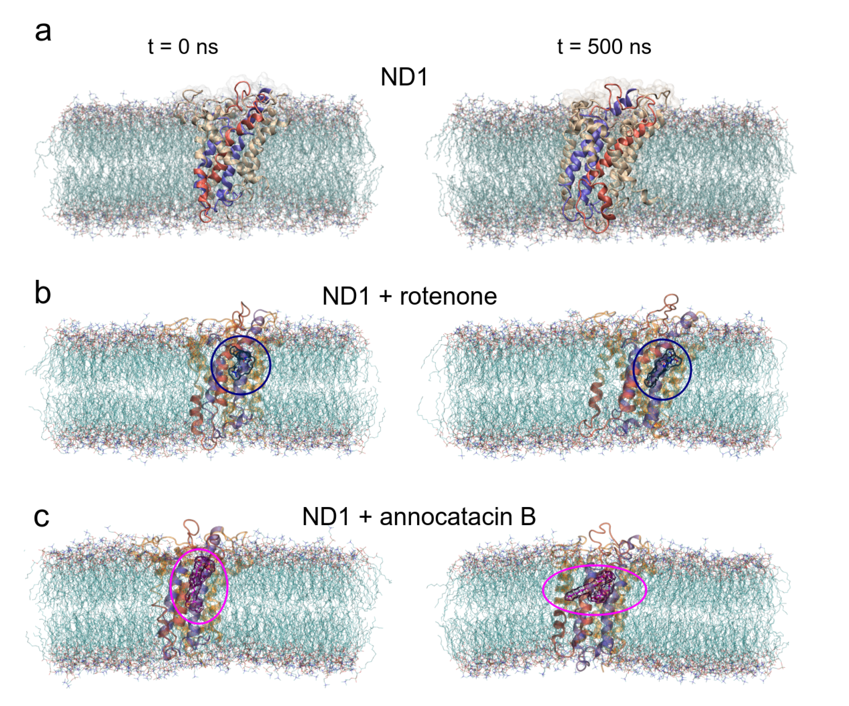 Polymers 13 01840 g004 Polymers 13 01840 g004