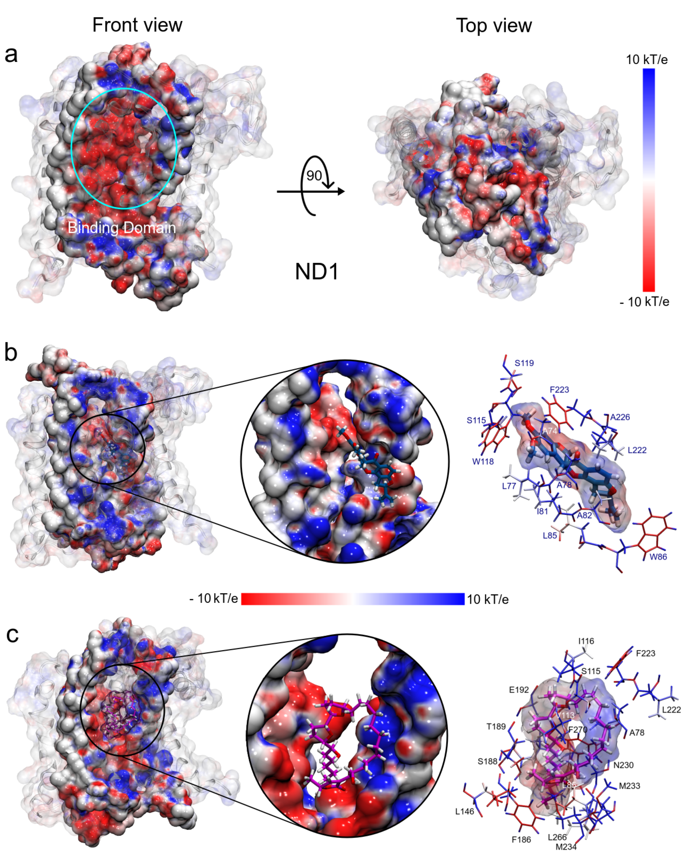 Polymers 13 01840 g008 Polymers 13 01840 g008