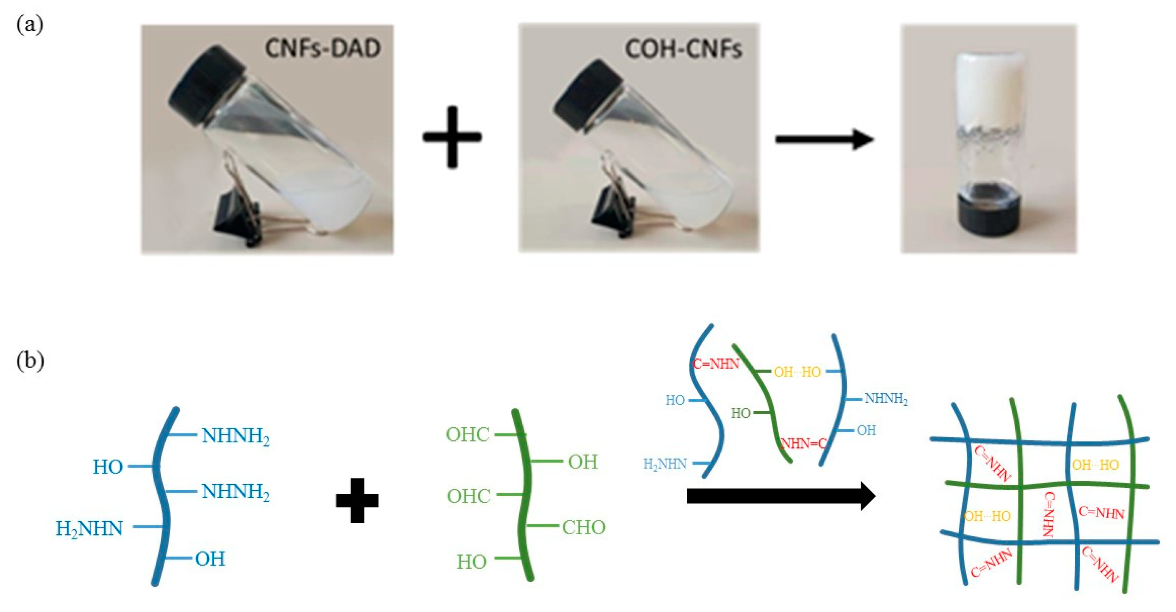 Polymers 13 01841 g002