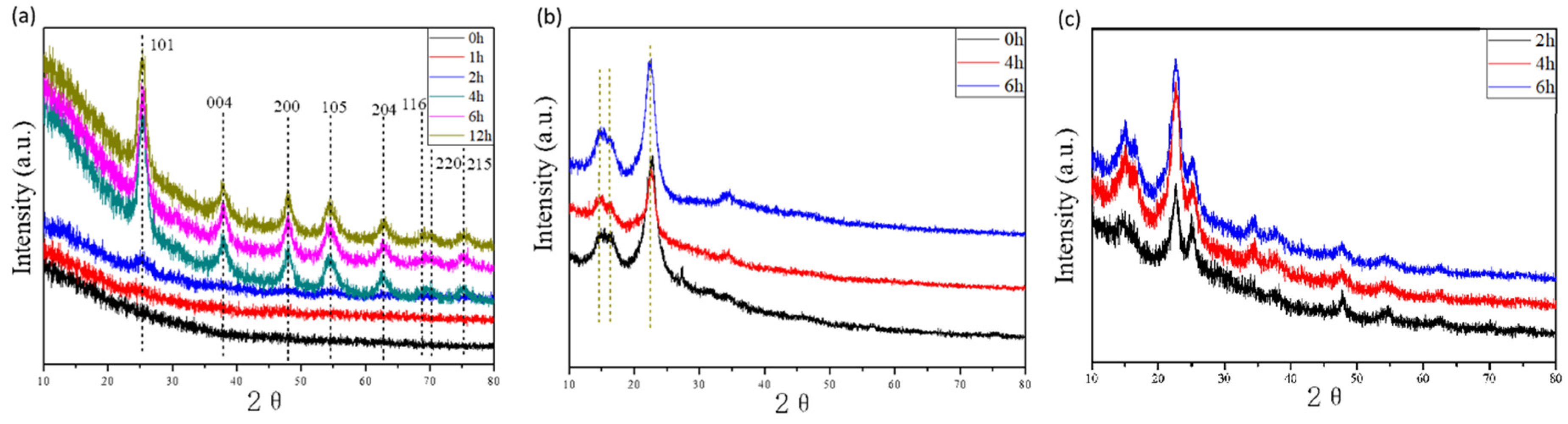 Polymers 13 01841 g005