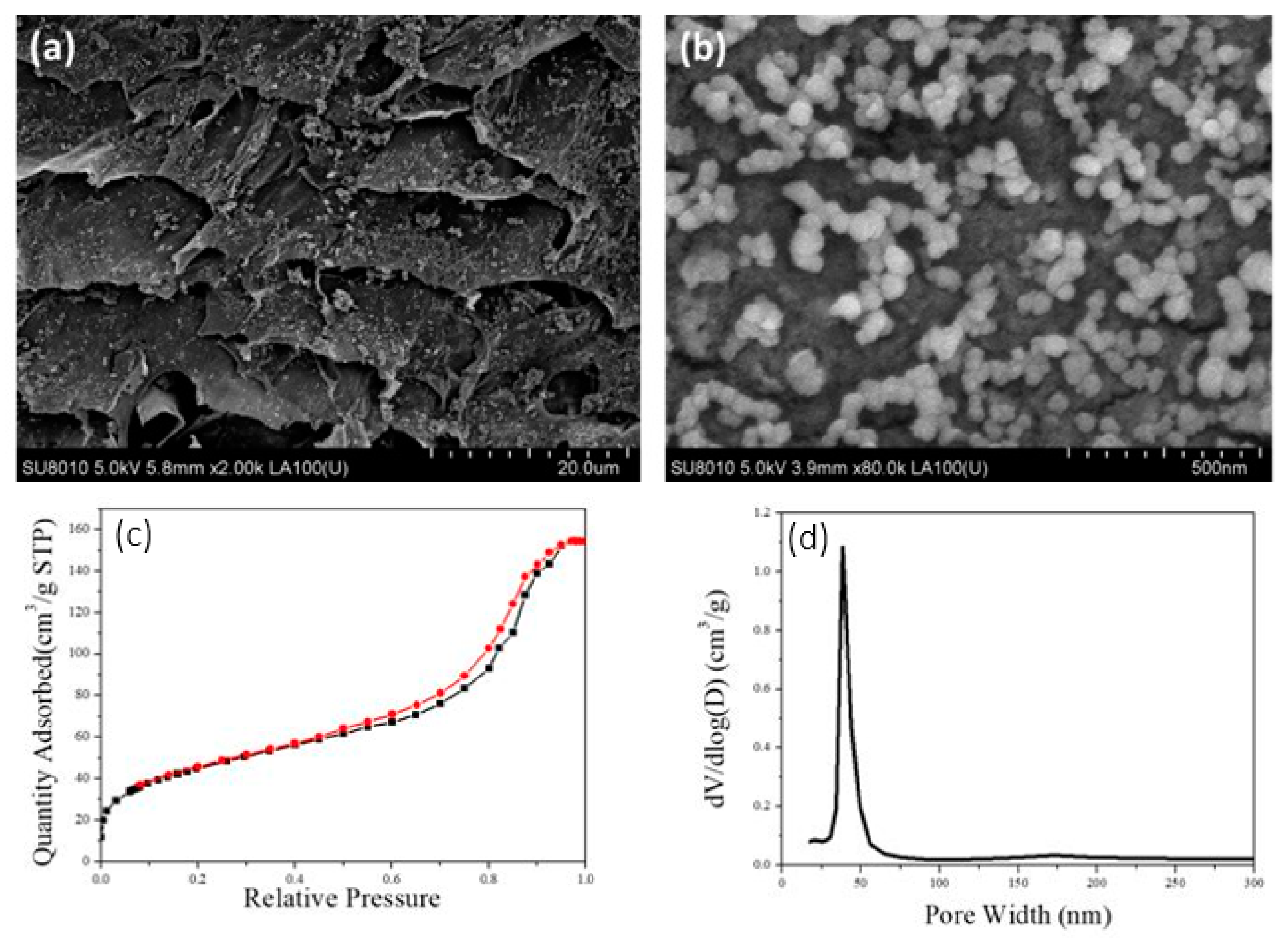 Polymers 13 01841 g006