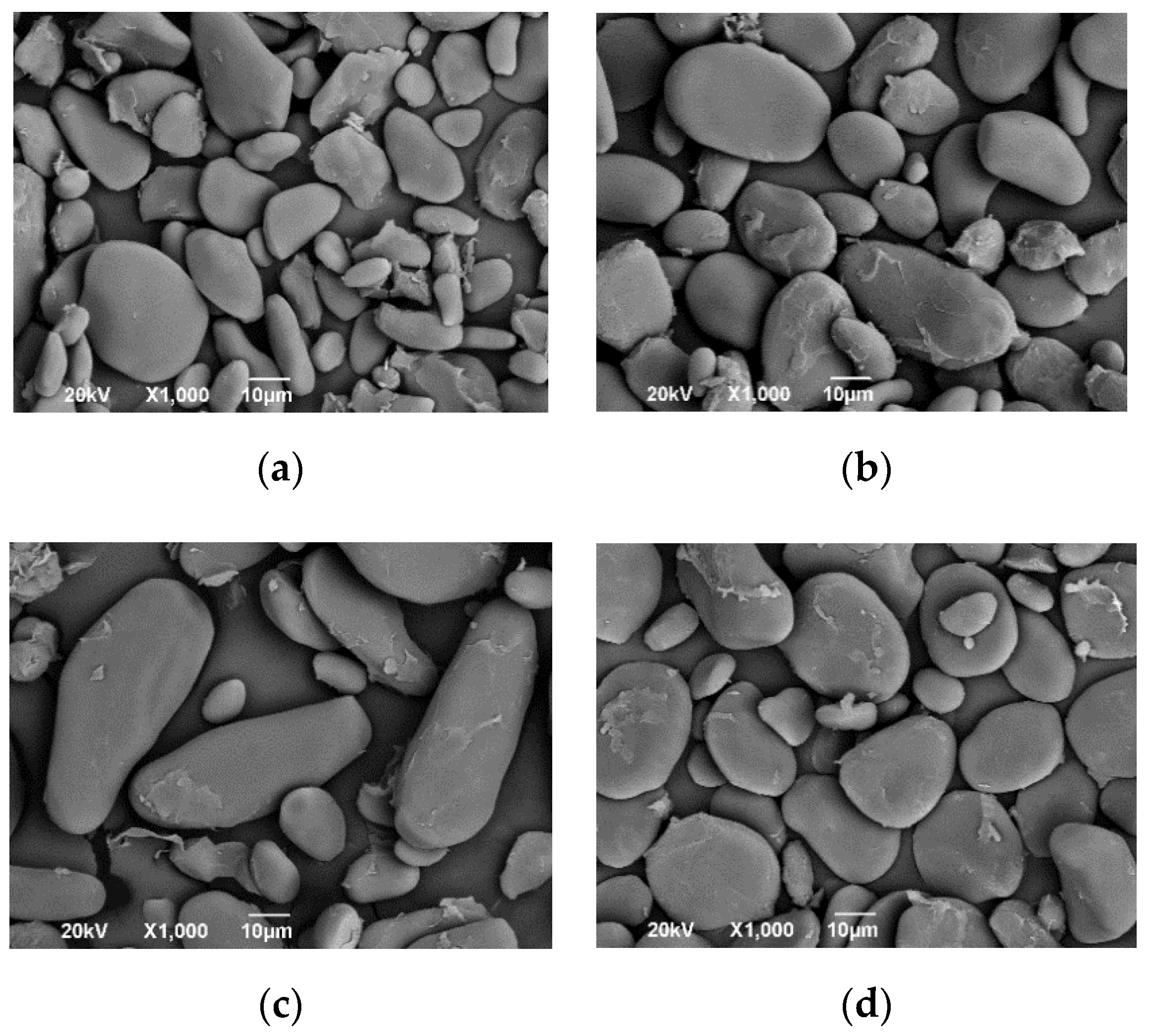 Polymers 13 01844 g001