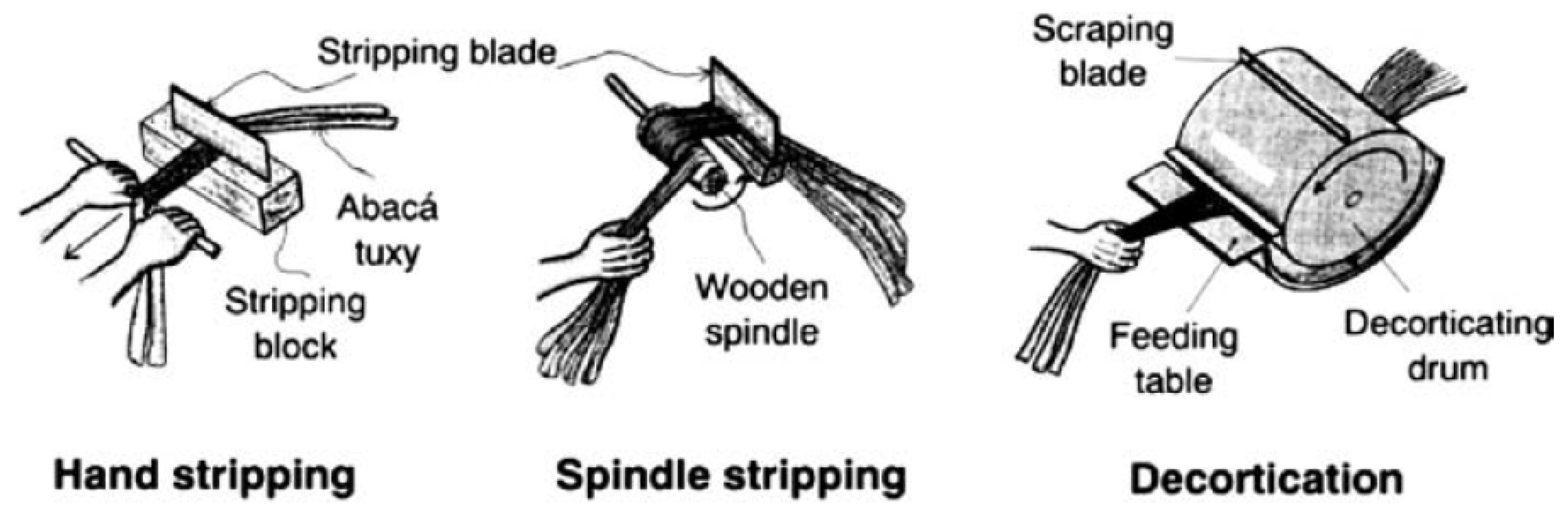 Polymers 13 01844 g002