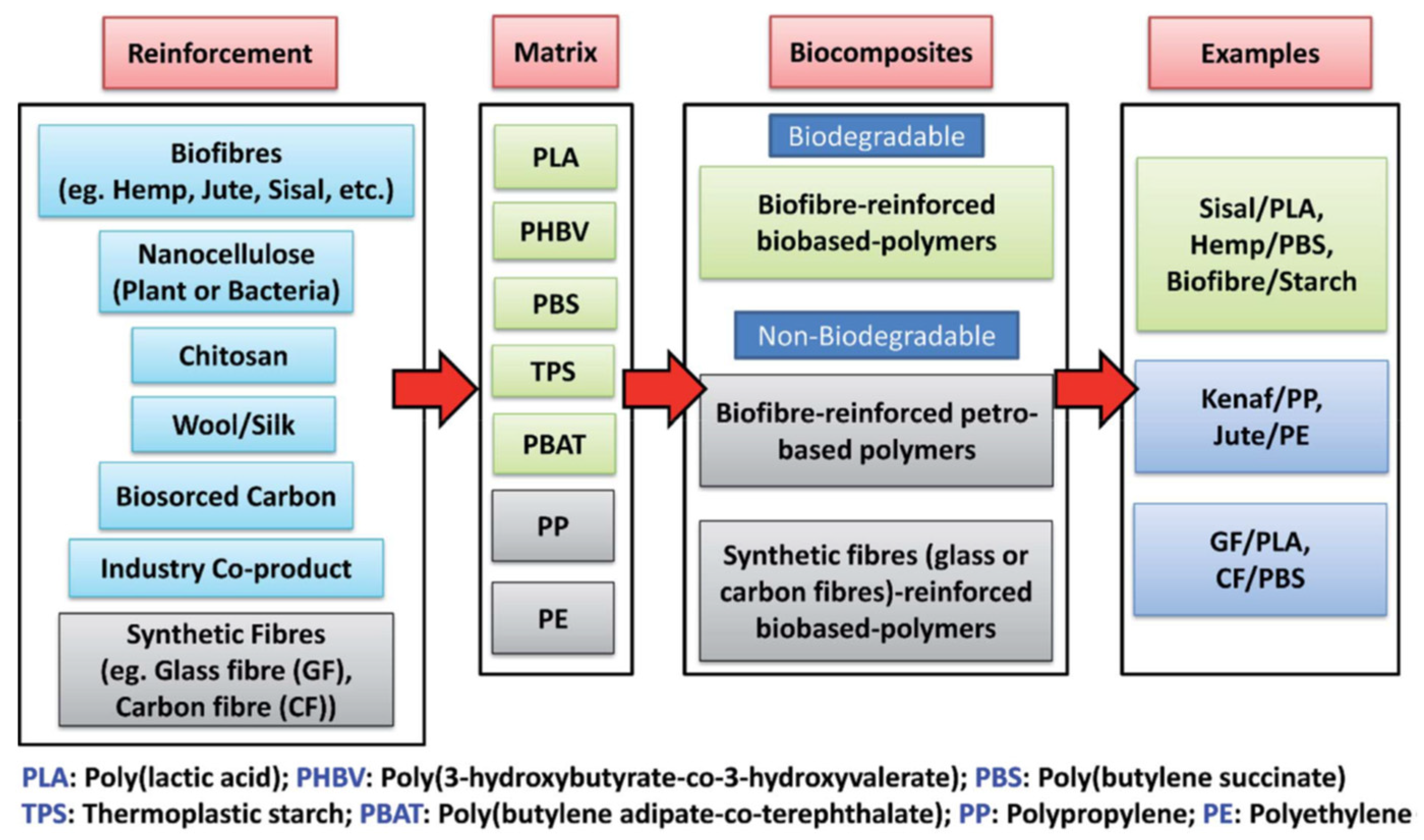 Polymers 13 01844 g003