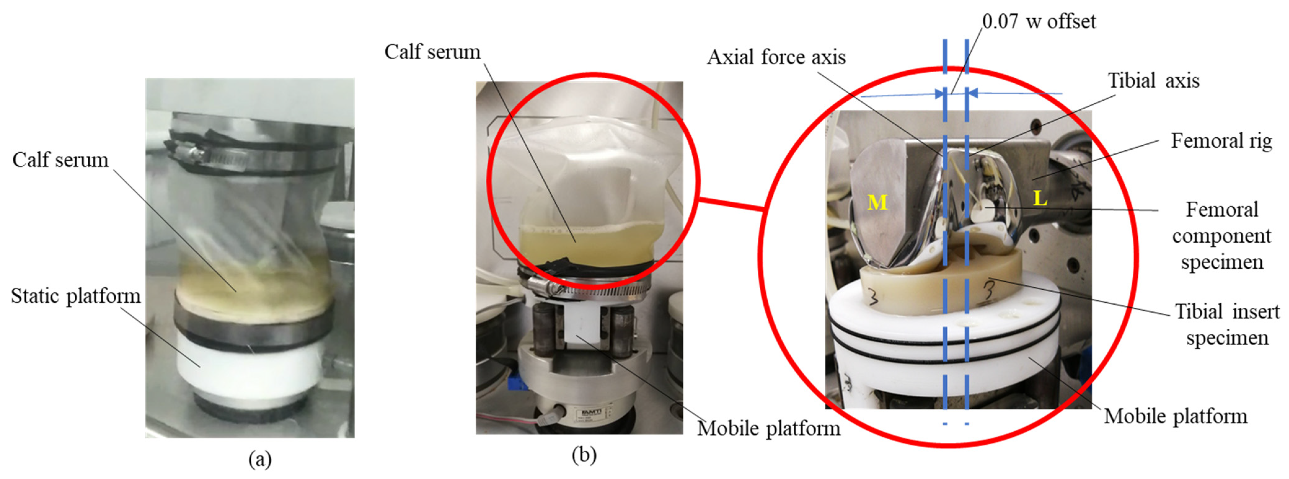 Polymers 13 01847 g001 Polymers 13 01847 g001