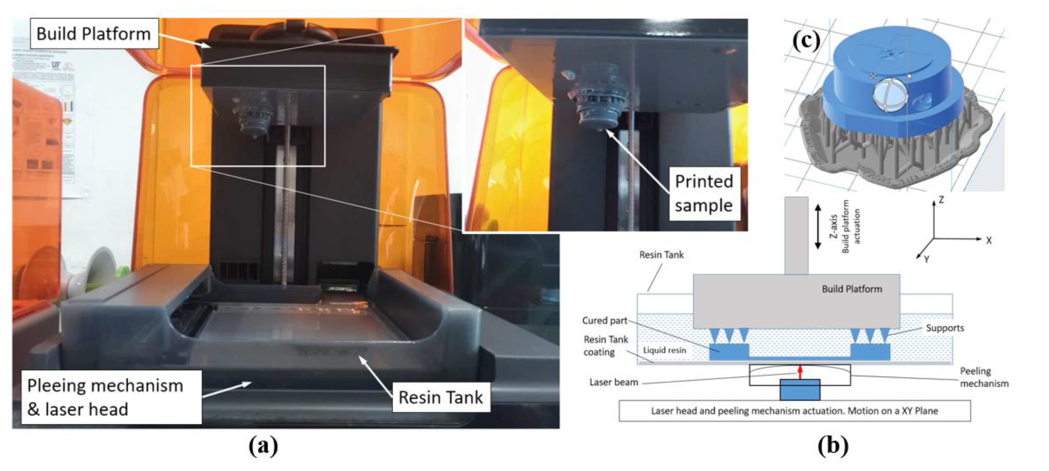 Polymers 13 01848 g004