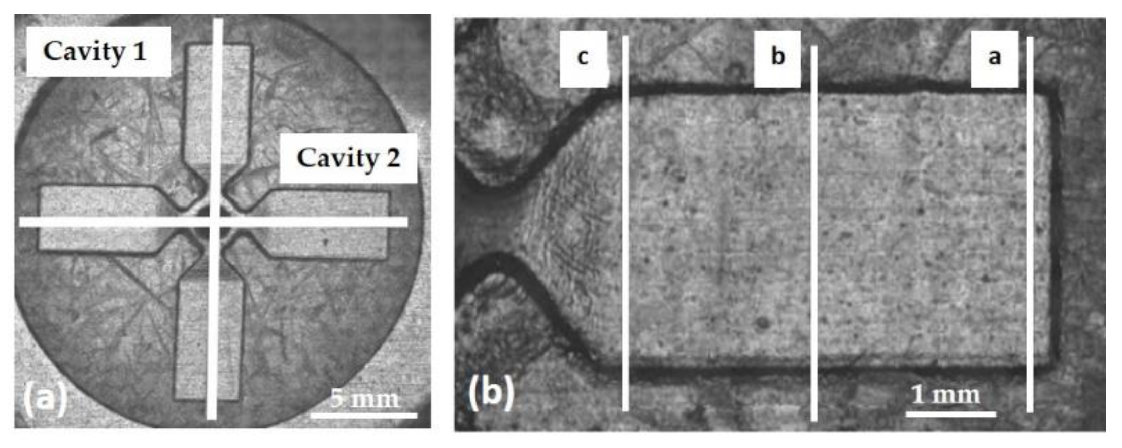 Polymers 13 01848 g006