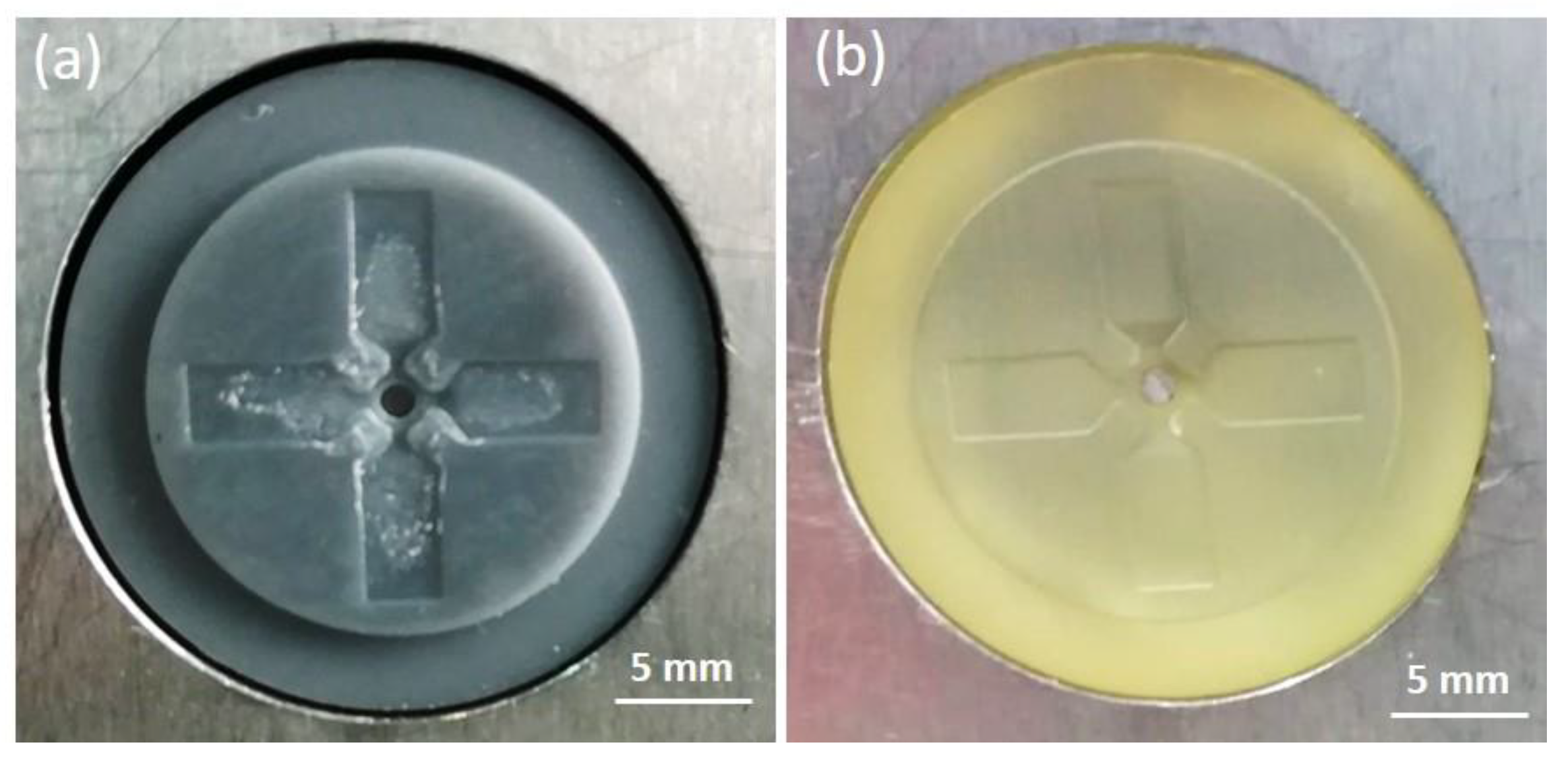 Polymers 13 01848 g008