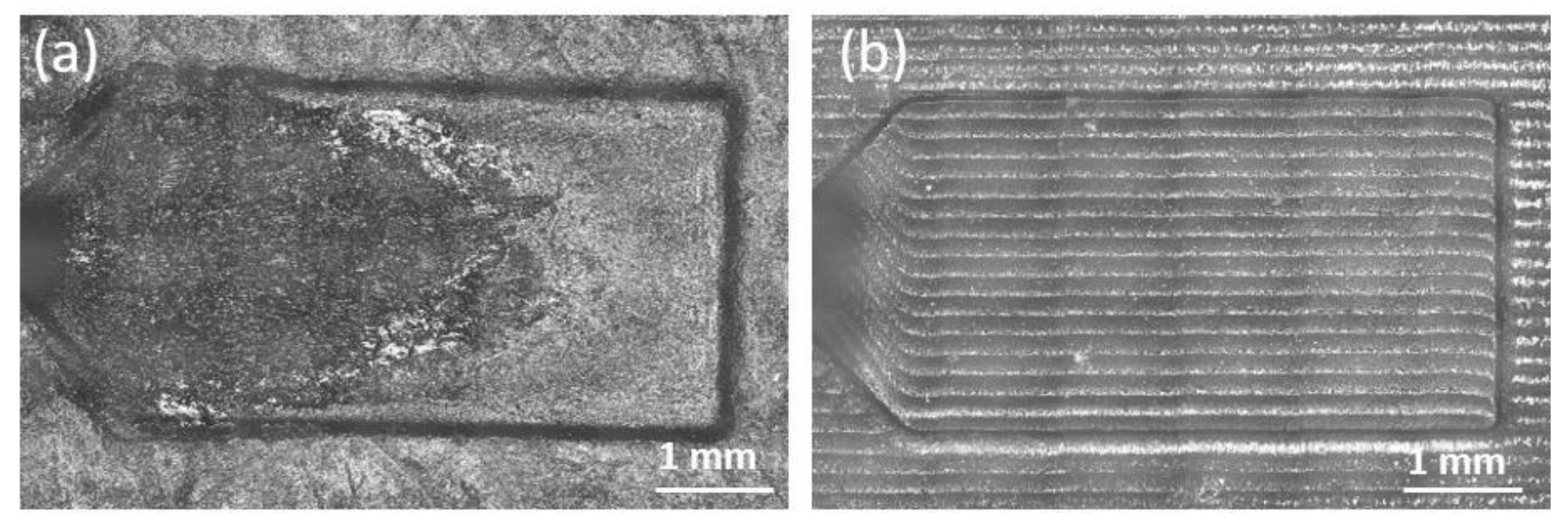 Polymers 13 01848 g009