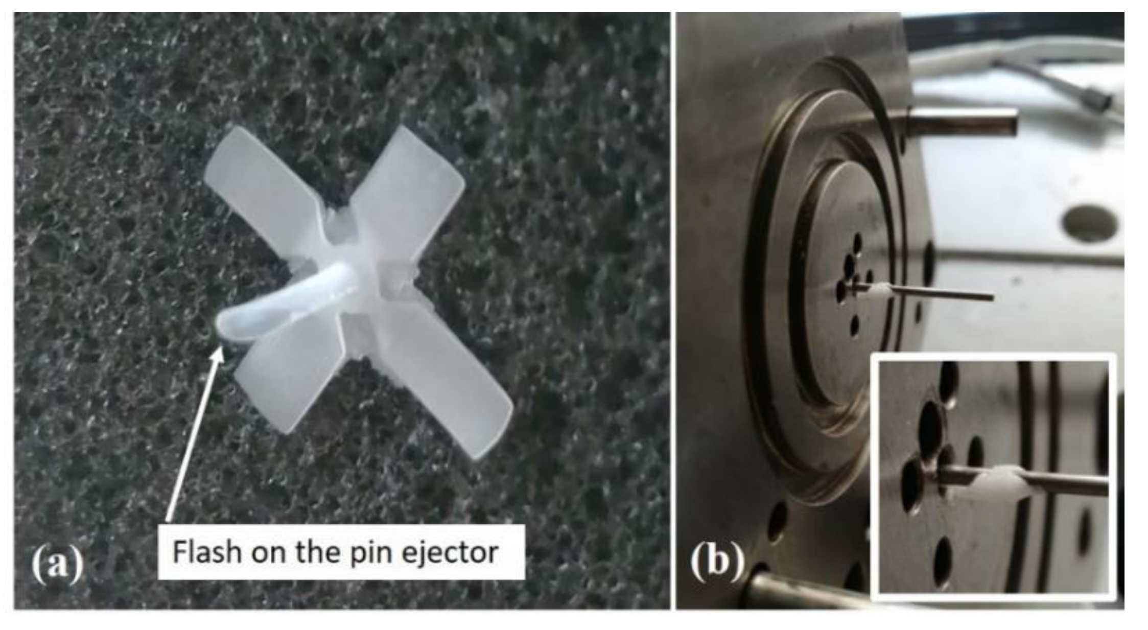 Polymers 13 01848 g011