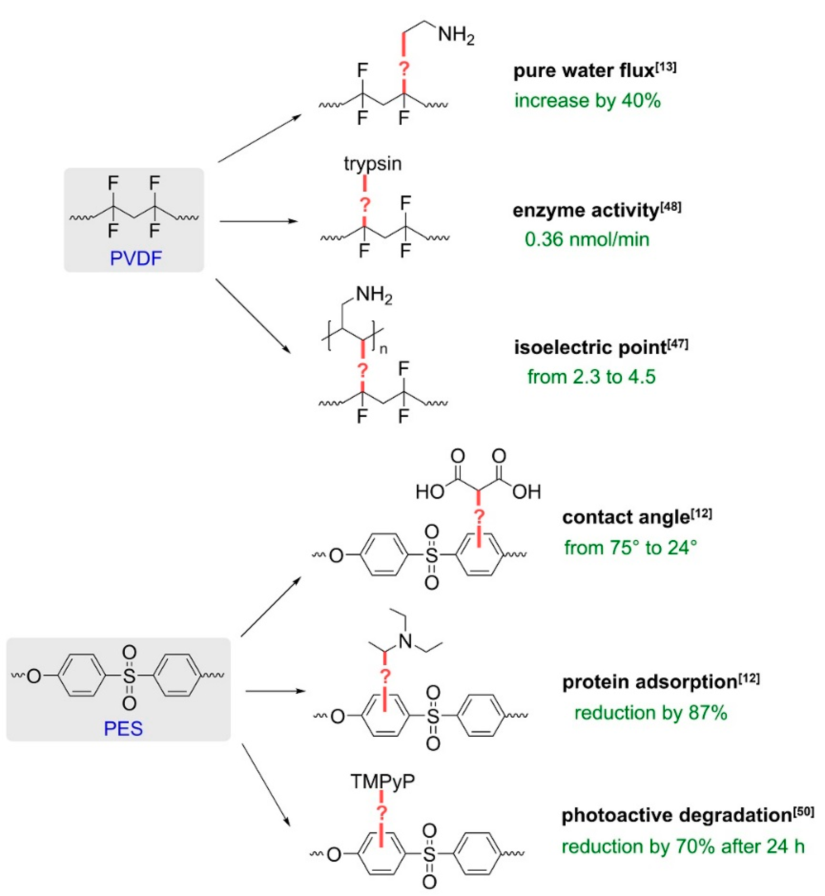Polymers 13 01849 g004 Polymers 13 01849 g004