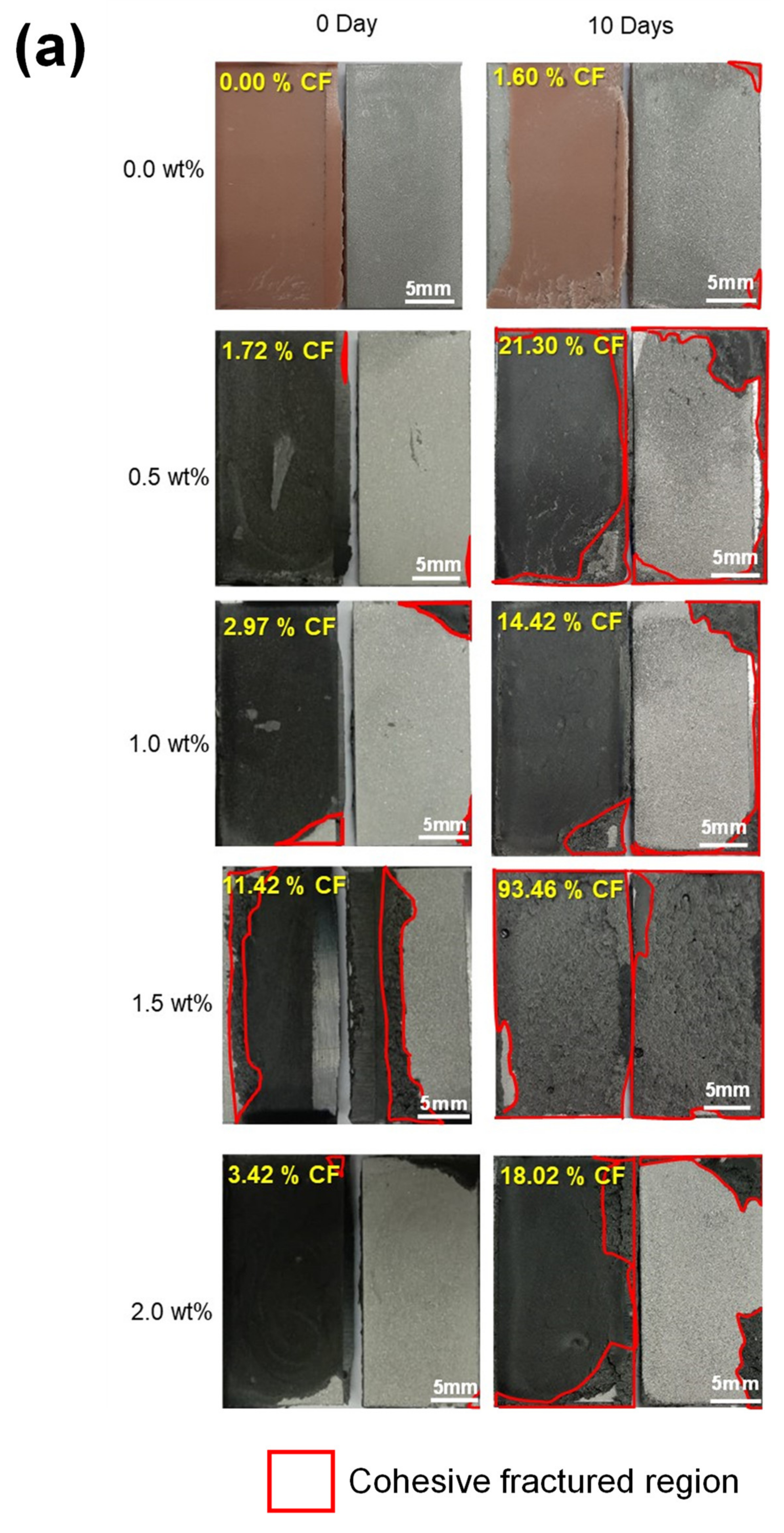 Polymers 13 01850 g008a