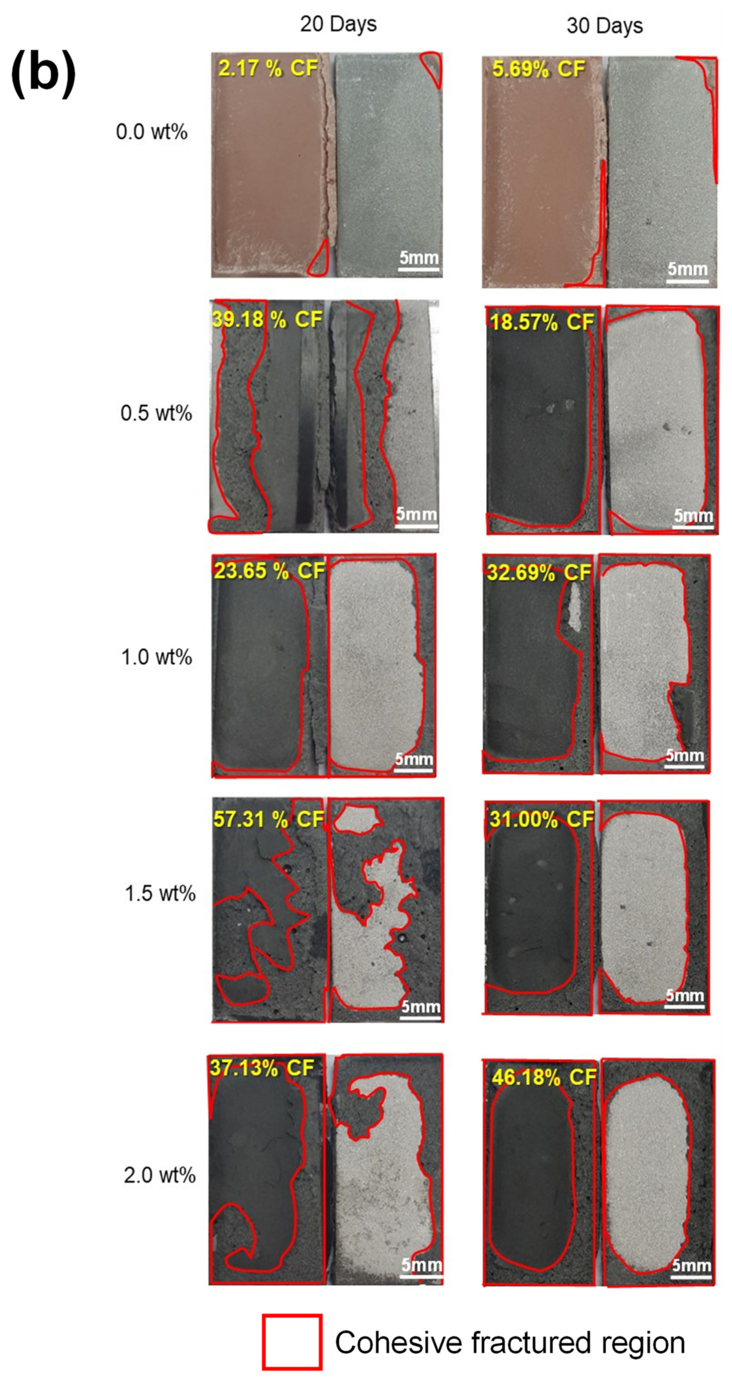 Polymers 13 01850 g008b
