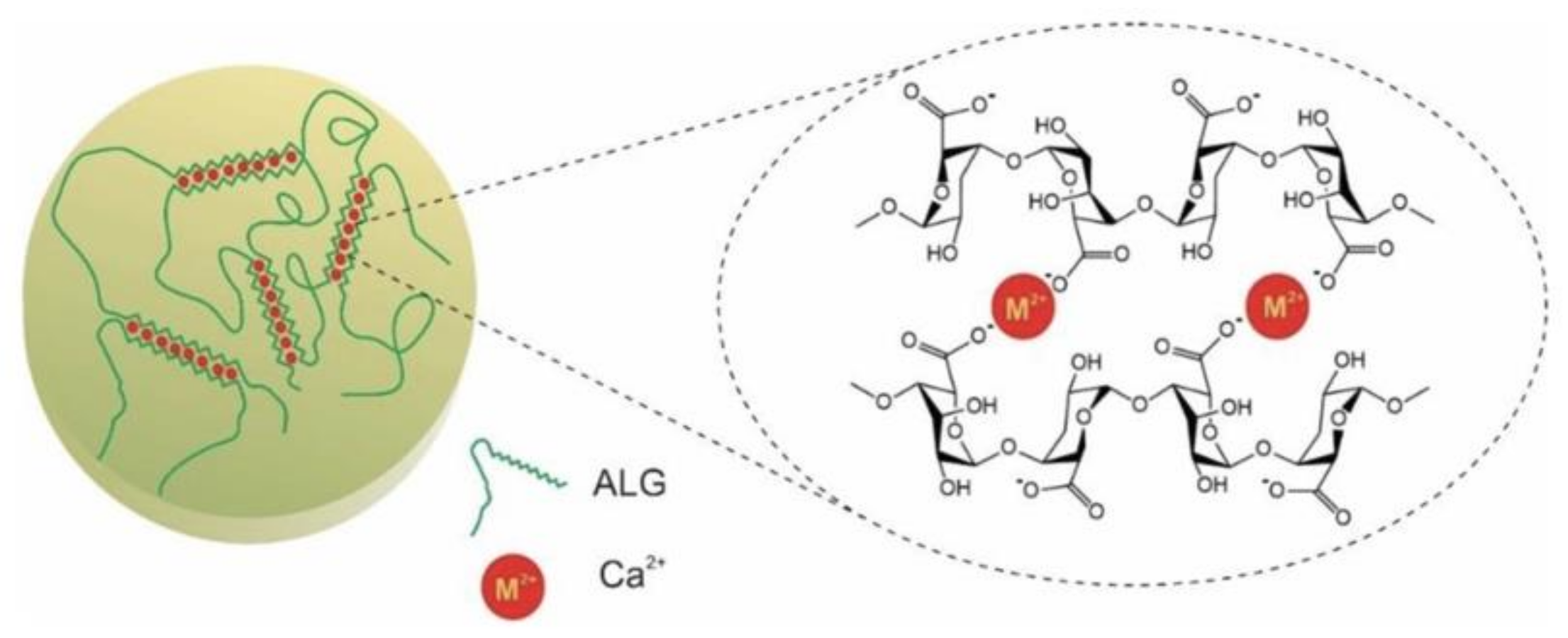 Polymers 13 01852 g003 Polymers 13 01852 g003