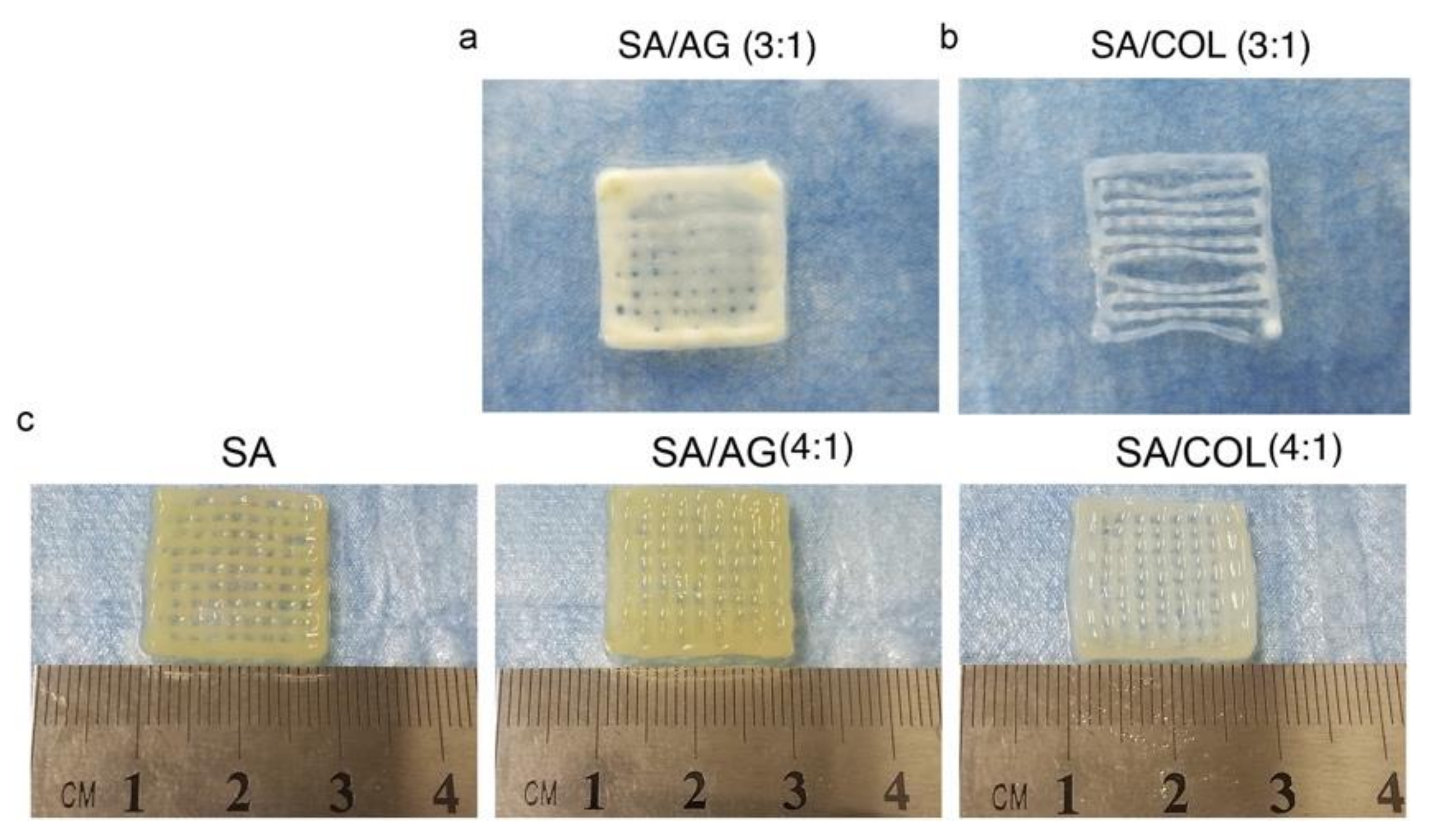 Polymers 13 01852 g006 Polymers 13 01852 g006