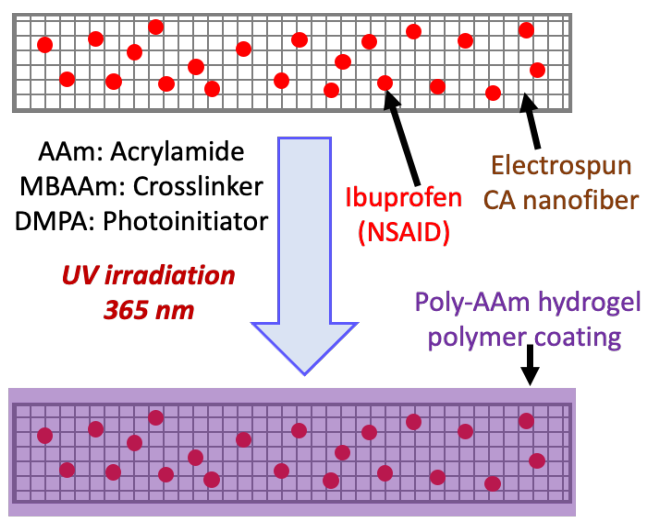 Polymers 13 01863 g001