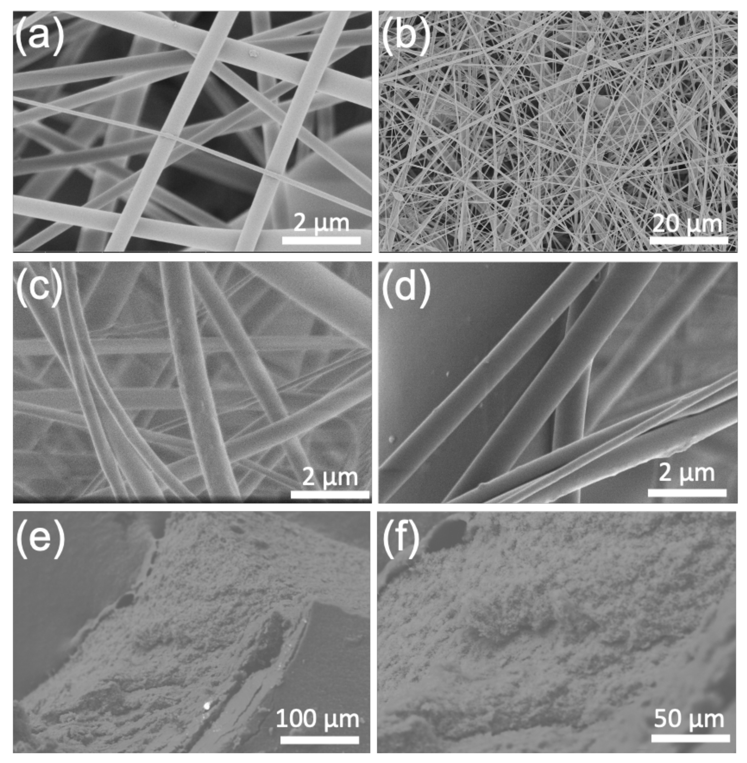 Polymers 13 01863 g004