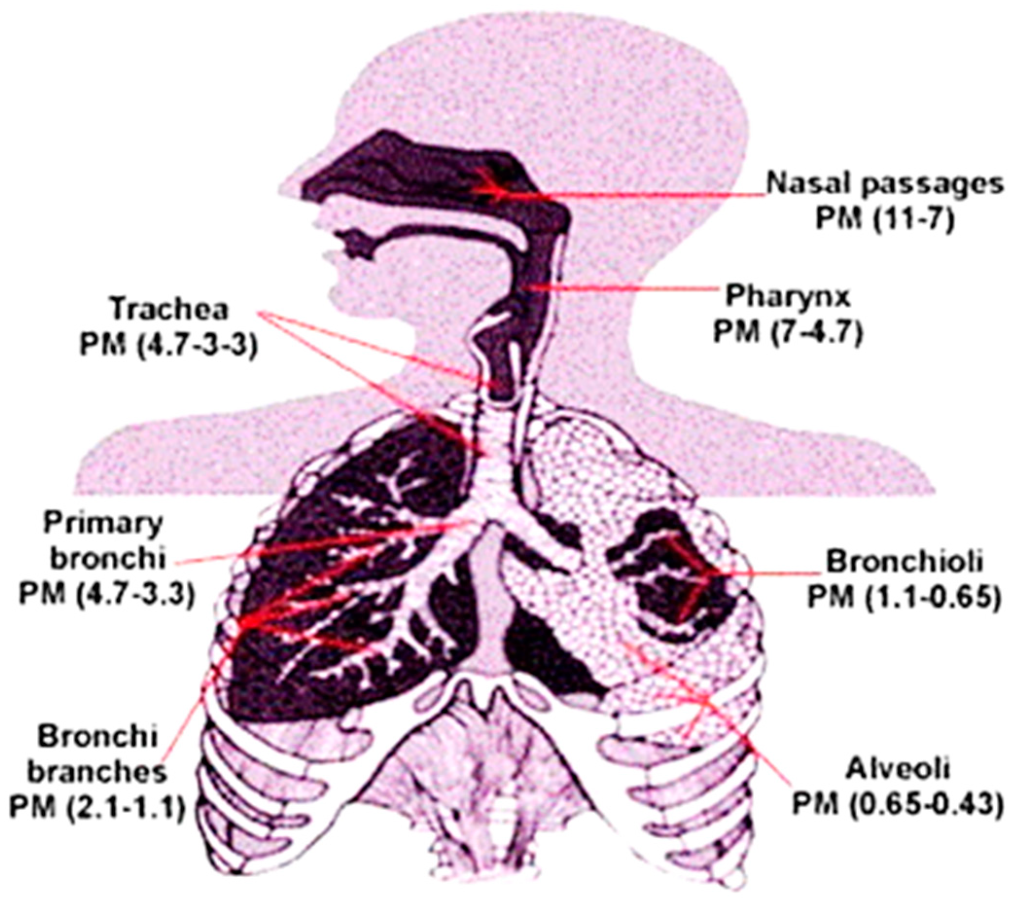 Polymers 13 01864 g001