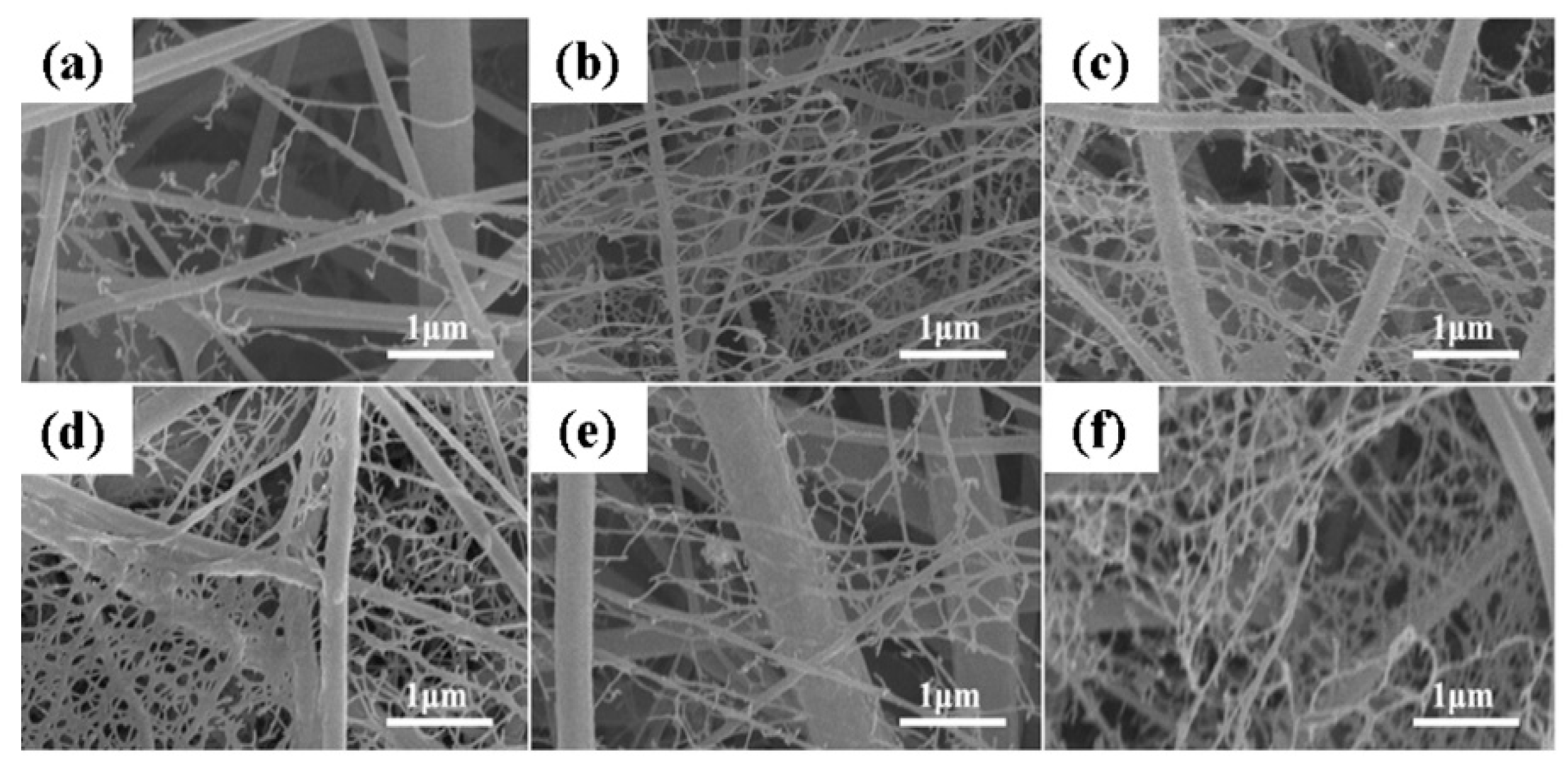 Polymers 13 01864 g007